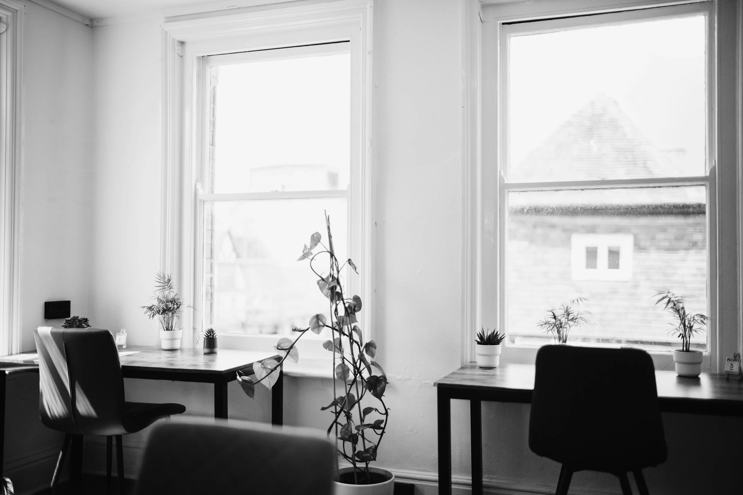 A black and white image of a bright room with three large windows, potted plants on the windowsills, and a dining table with chairs.