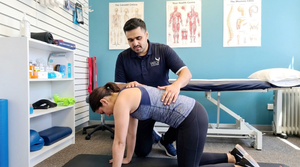 The Howick Gardener’s Back Saver: Preventing Pain While Pruning and DIY