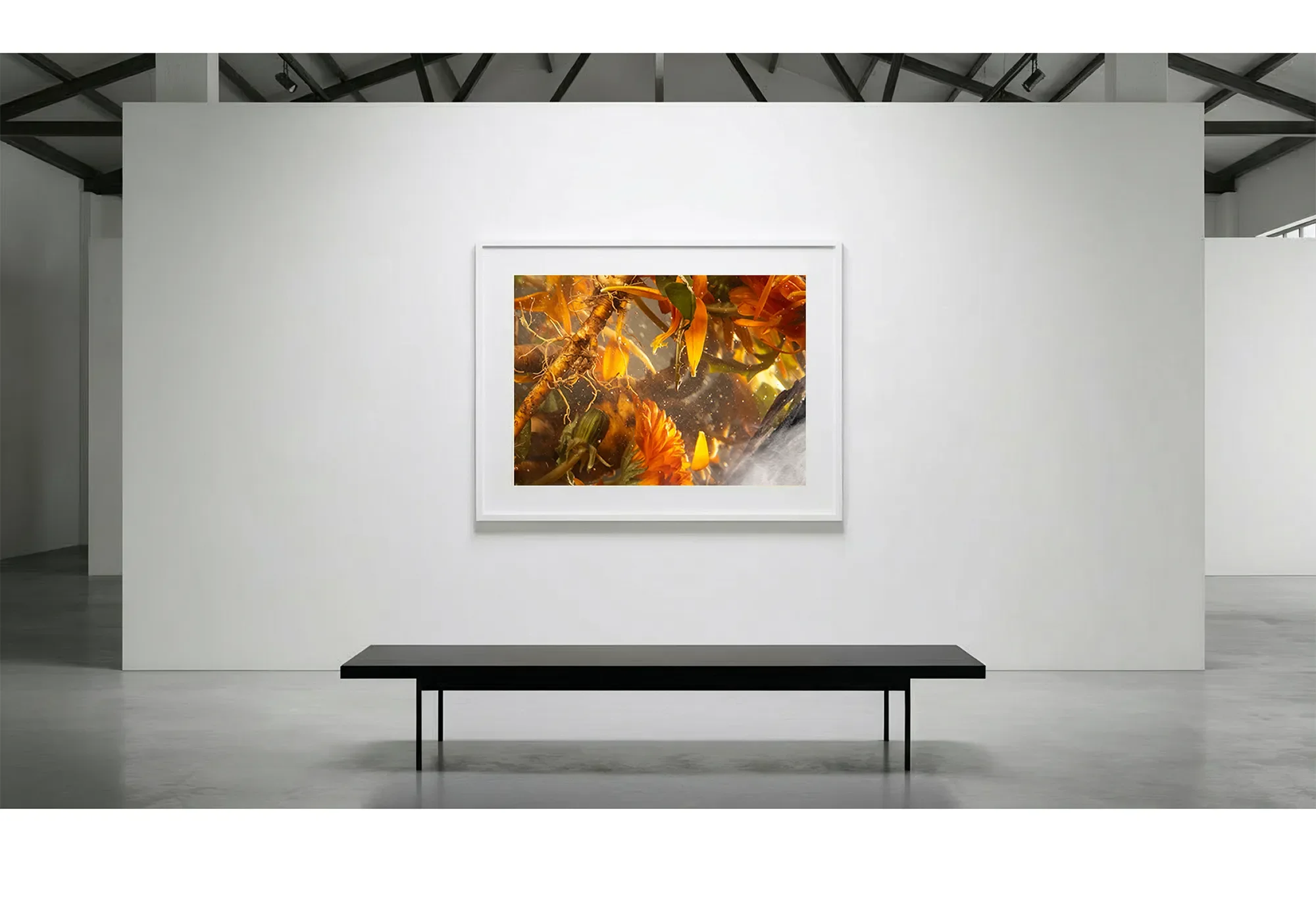 4_ImmersionPhaseshift_GalleryWall copy.webp