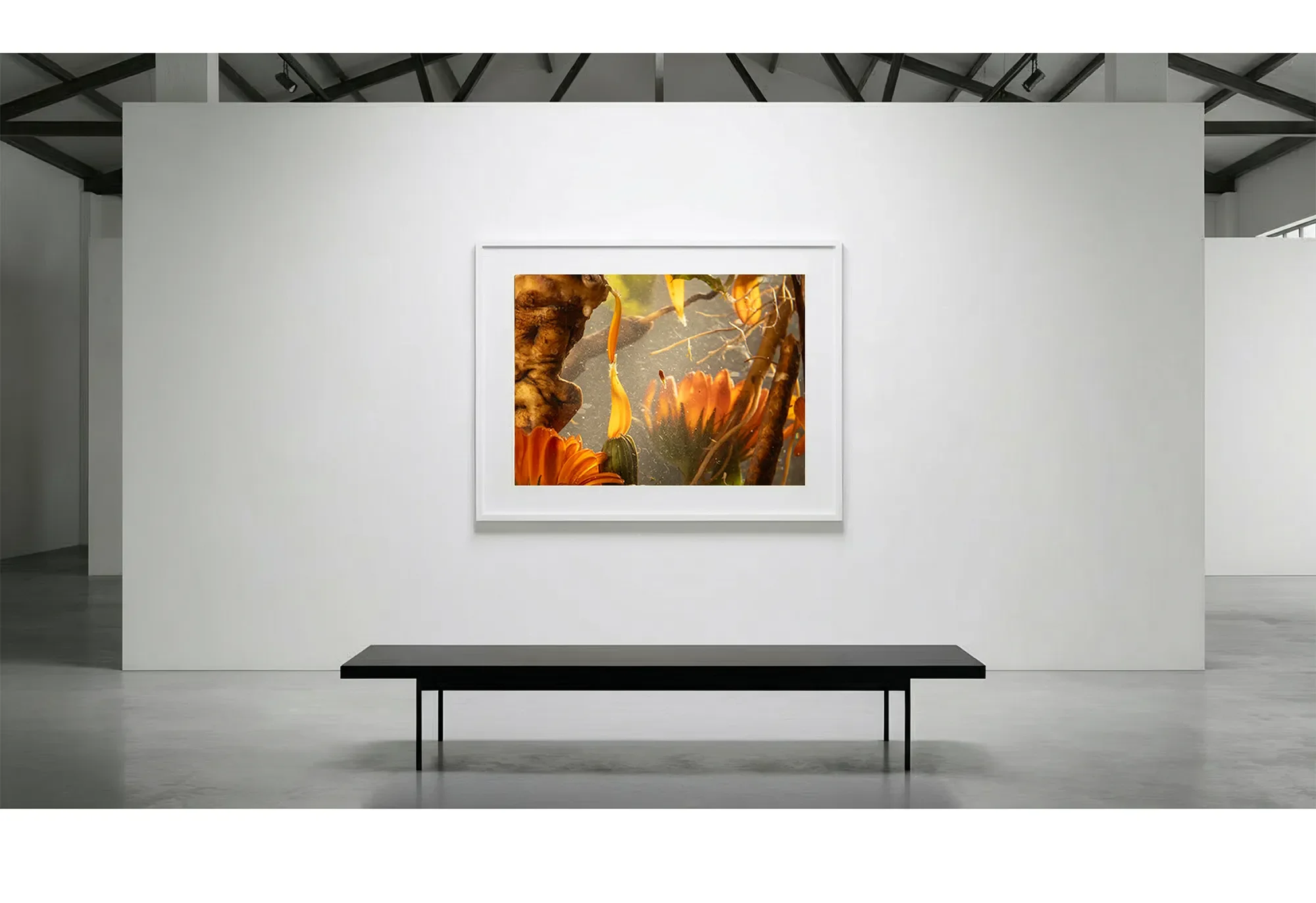 8_Immersion_Suspension_GalleryWall copy.webp