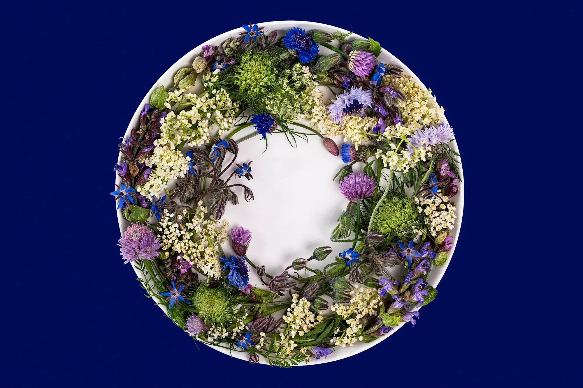 A white plate with a floral wreath of various colorful flowers on a dark blue background.