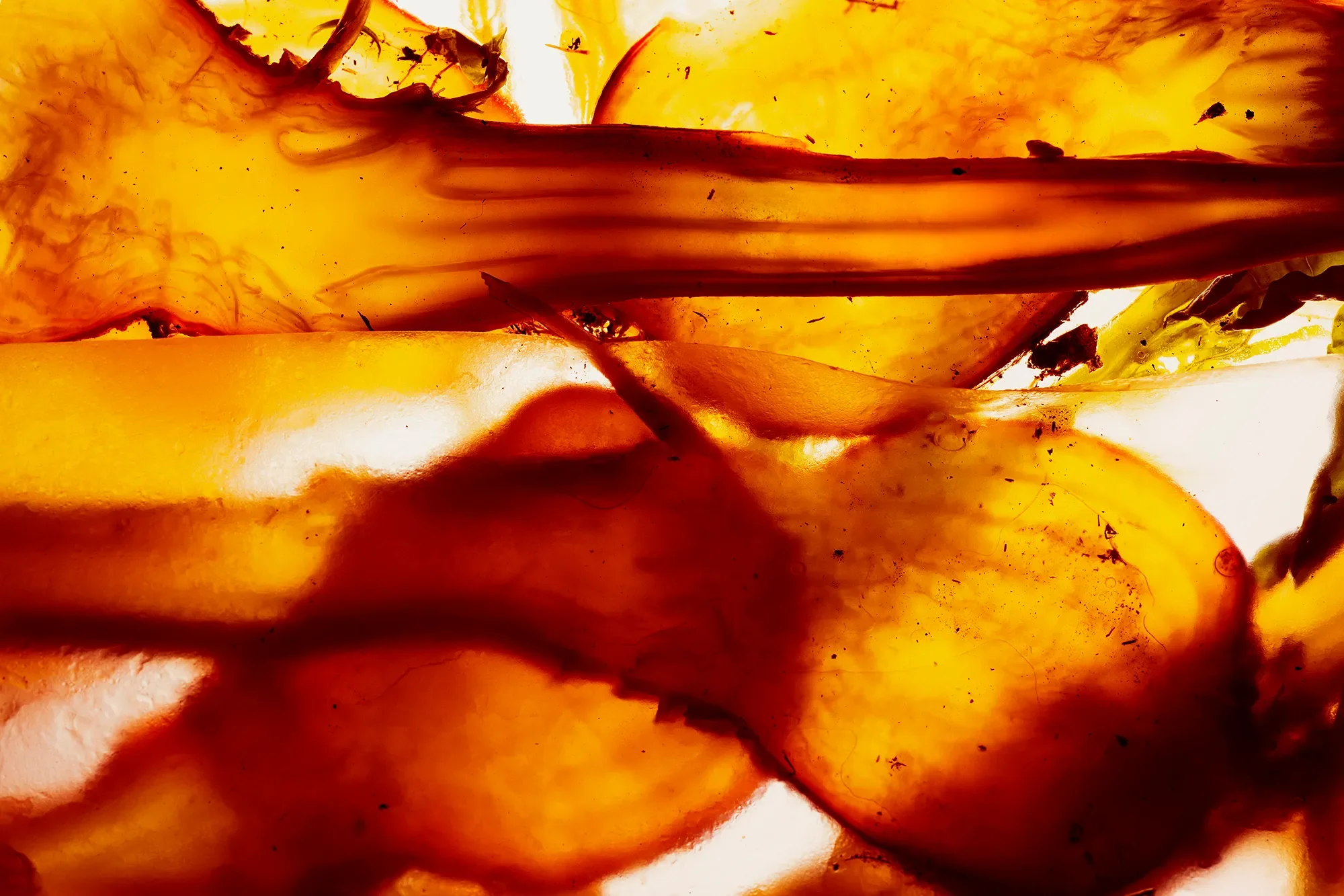 Territorial Field 01 / Section 3 : Silverskin