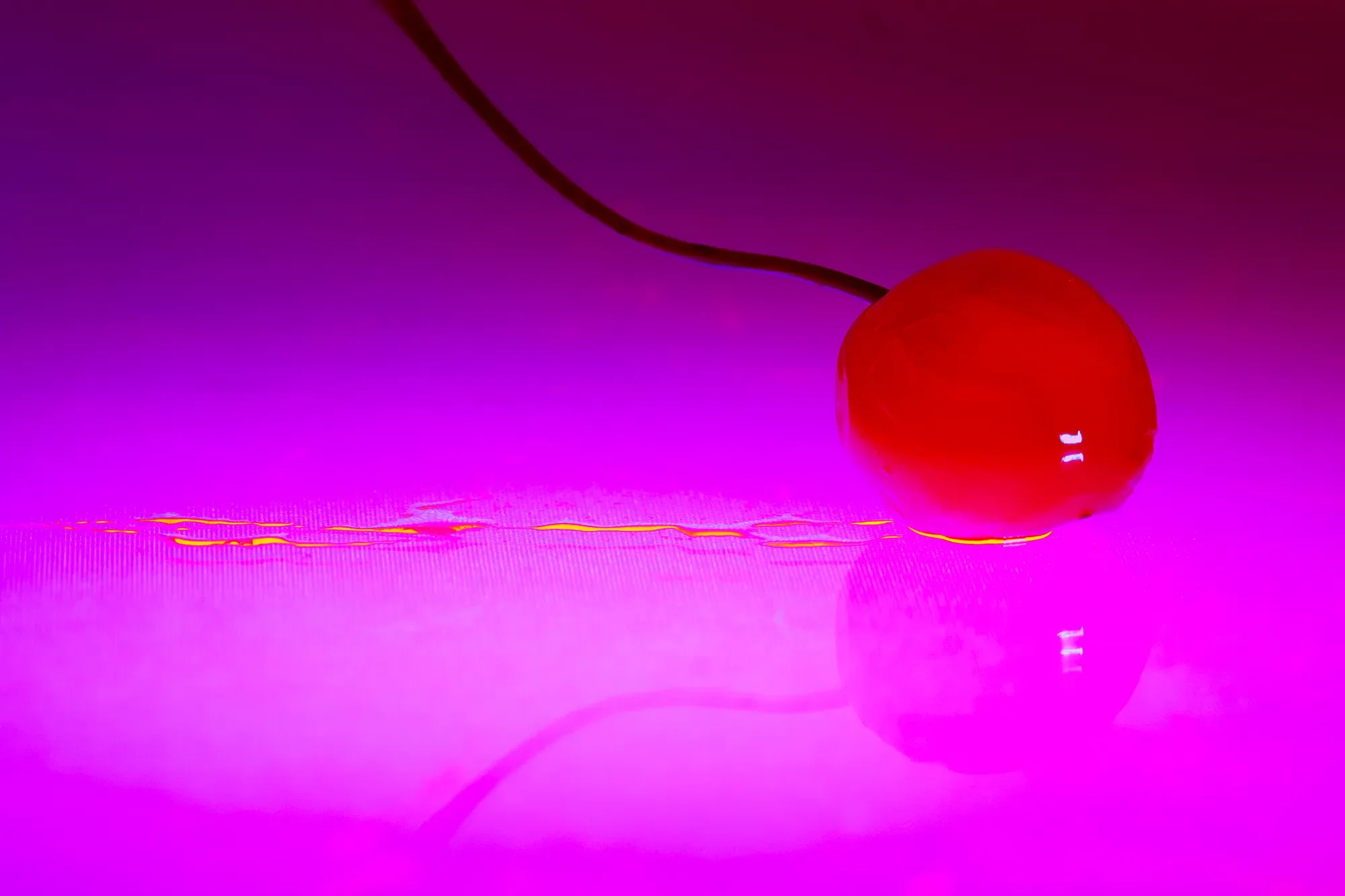 A red cherry connected to a black wire resting on a shiny pink and purple gradient surface with reflections and light streaks.