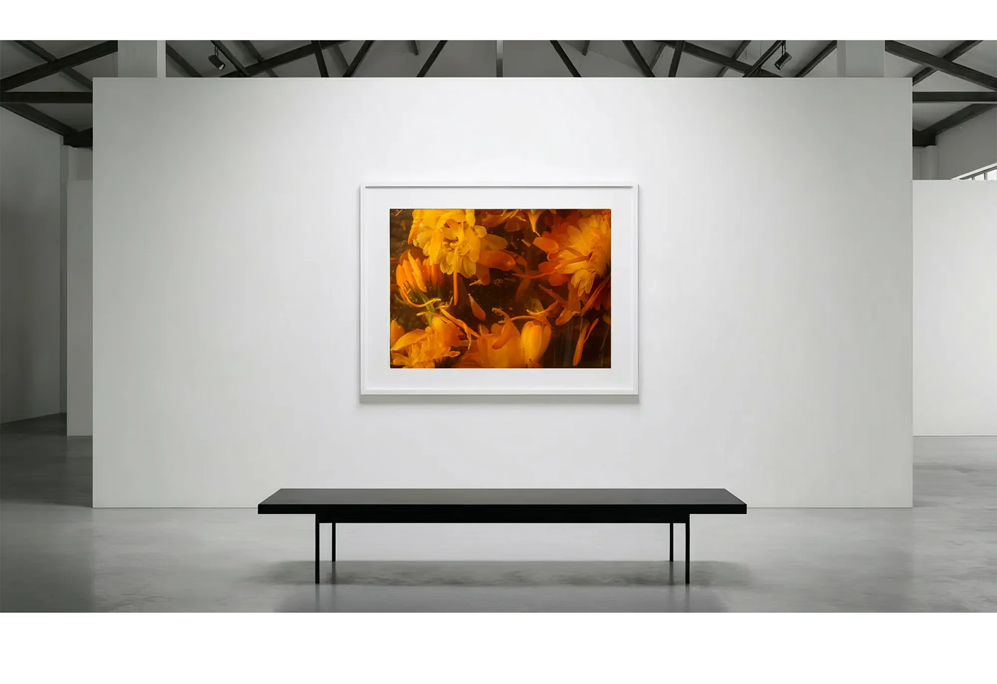 11_ImmersionEquilibrium_GalleryWall copy.webp