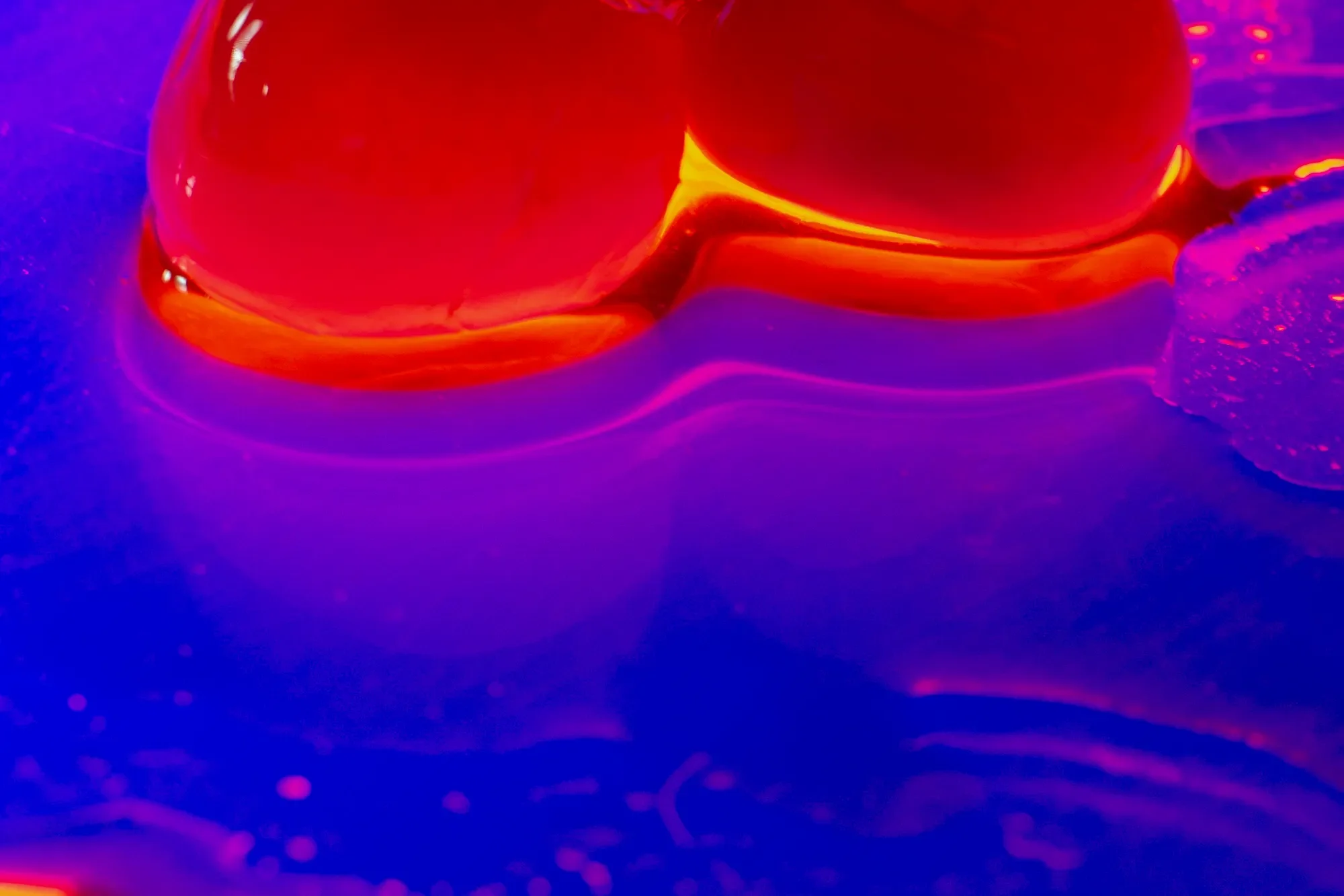 Close-up of two glowing red cherry tomatoes on a reflective surface with vibrant purple and blue lighting.