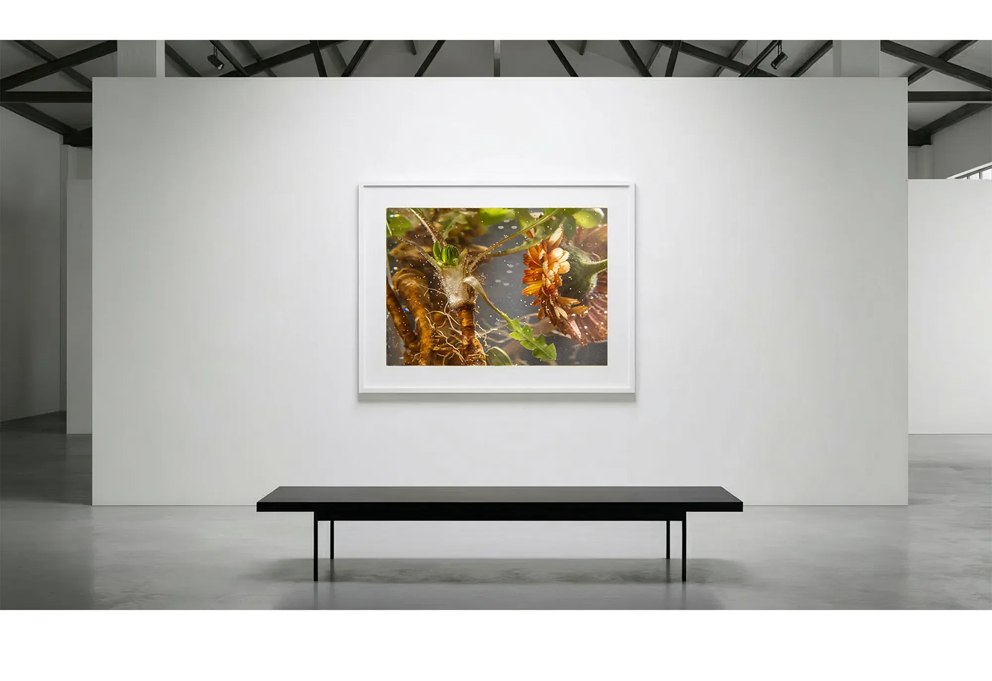 3_Immersion_isothermal_GalleryWall copy.webp