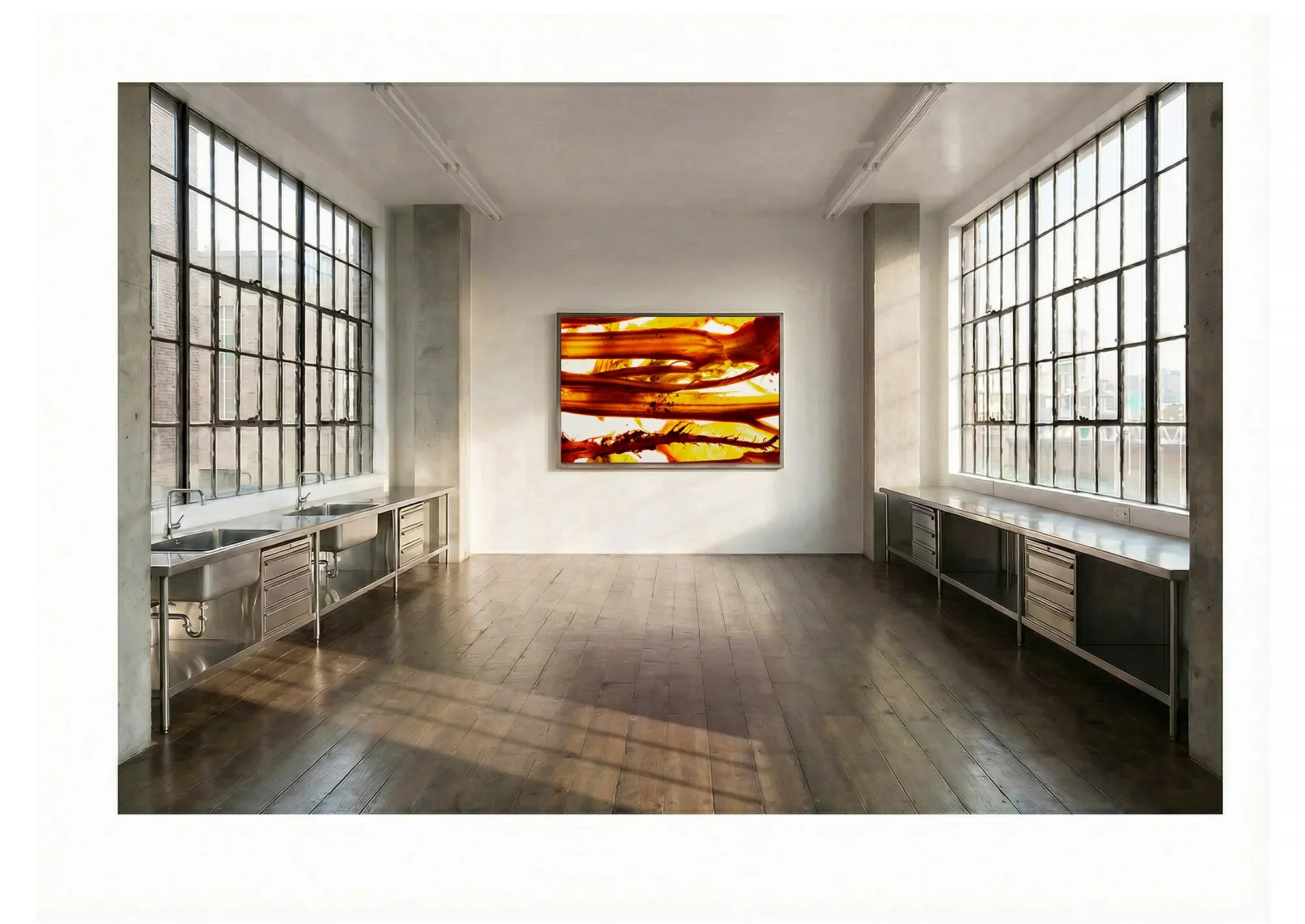 5_LucentAnatomy_ConnectiveTissue_GalleryWall copy.webp