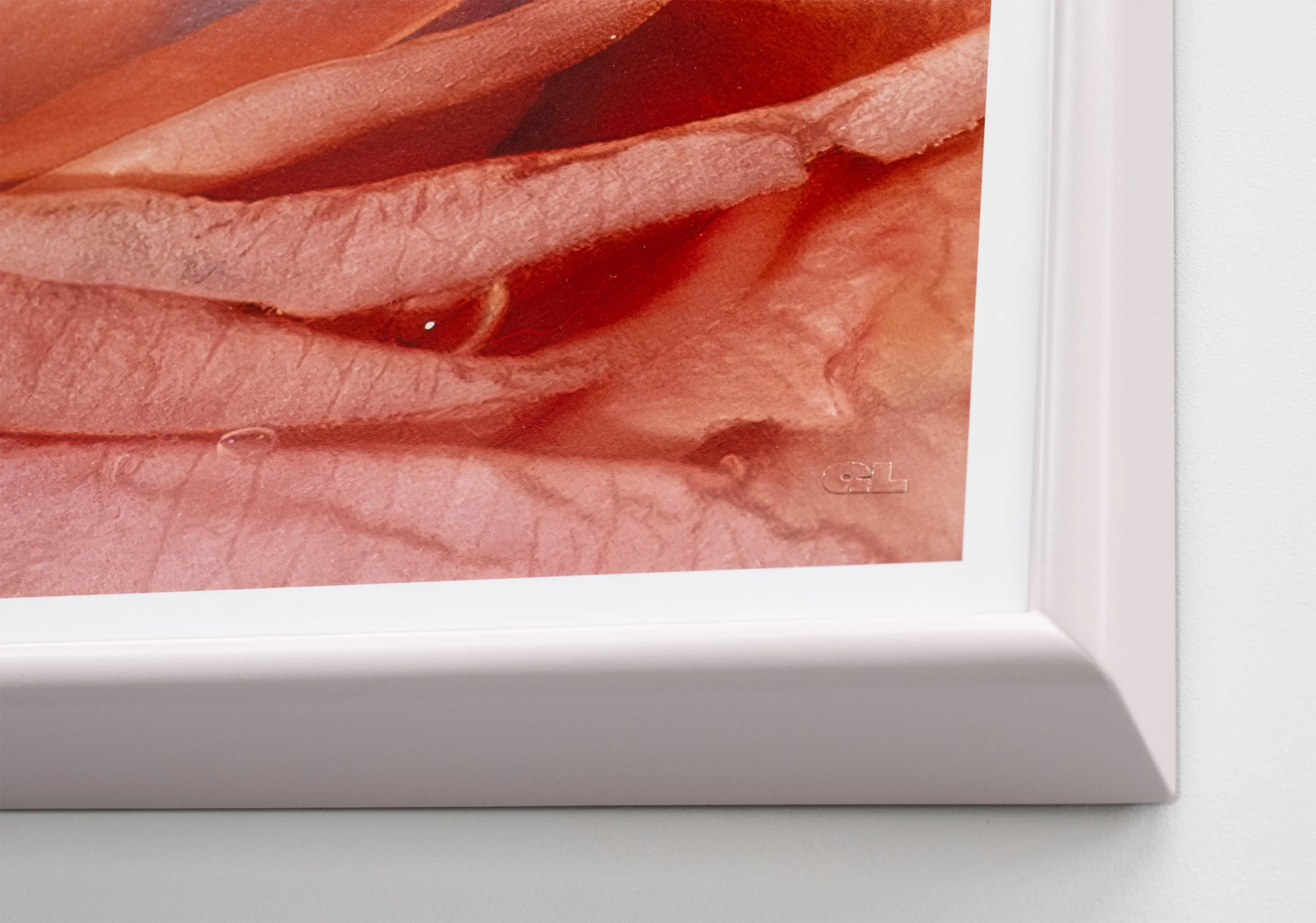 Close detail of the frame edge on an Inside the City of Ladies print: a pale painted angled frame, no mat board, the print's white border visible, on a white wall. Framing guide, Gabrielle Lewis.