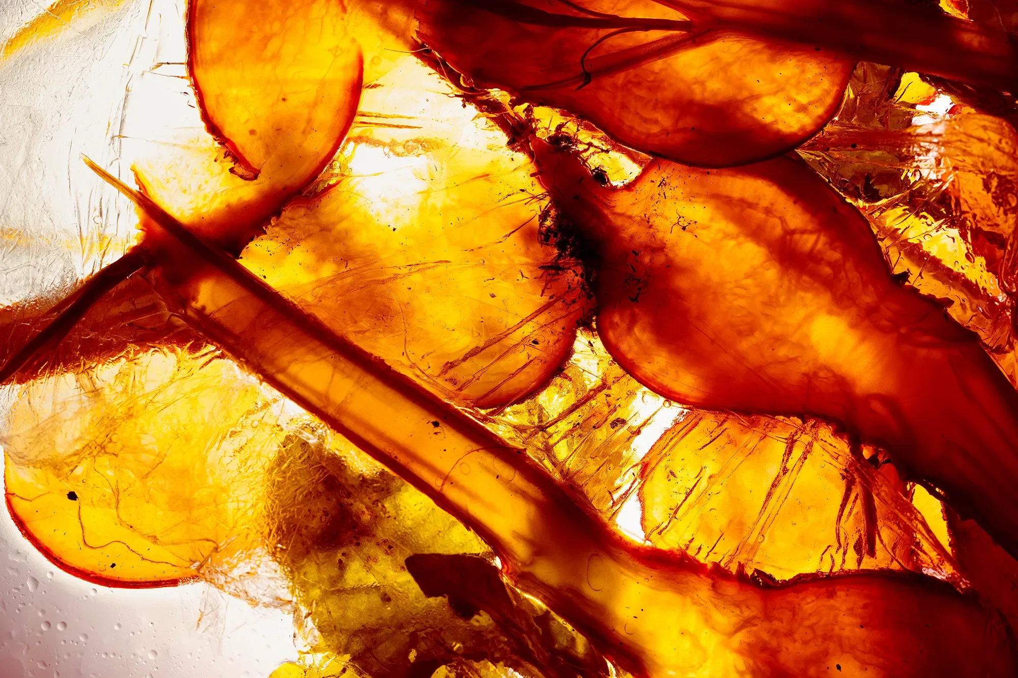 Territorial Field 06 / Section 2 : Skirt