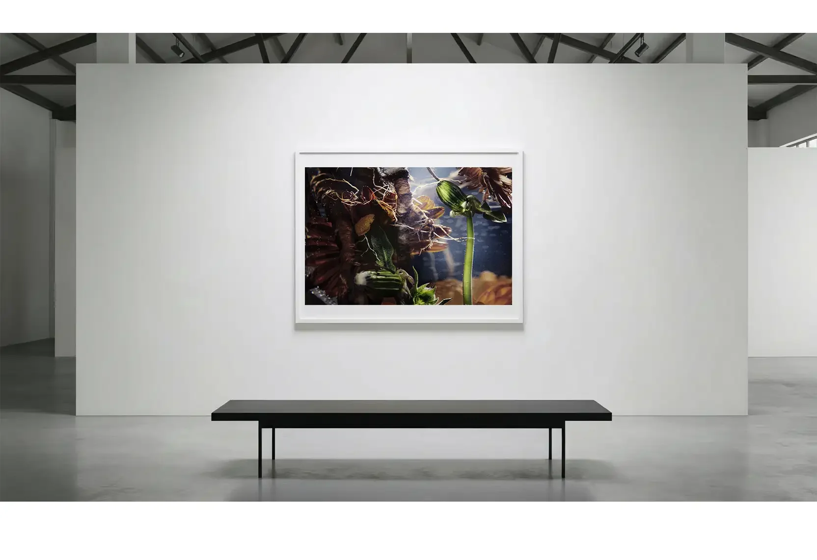 Quiescence_GalleryWall_01.webp