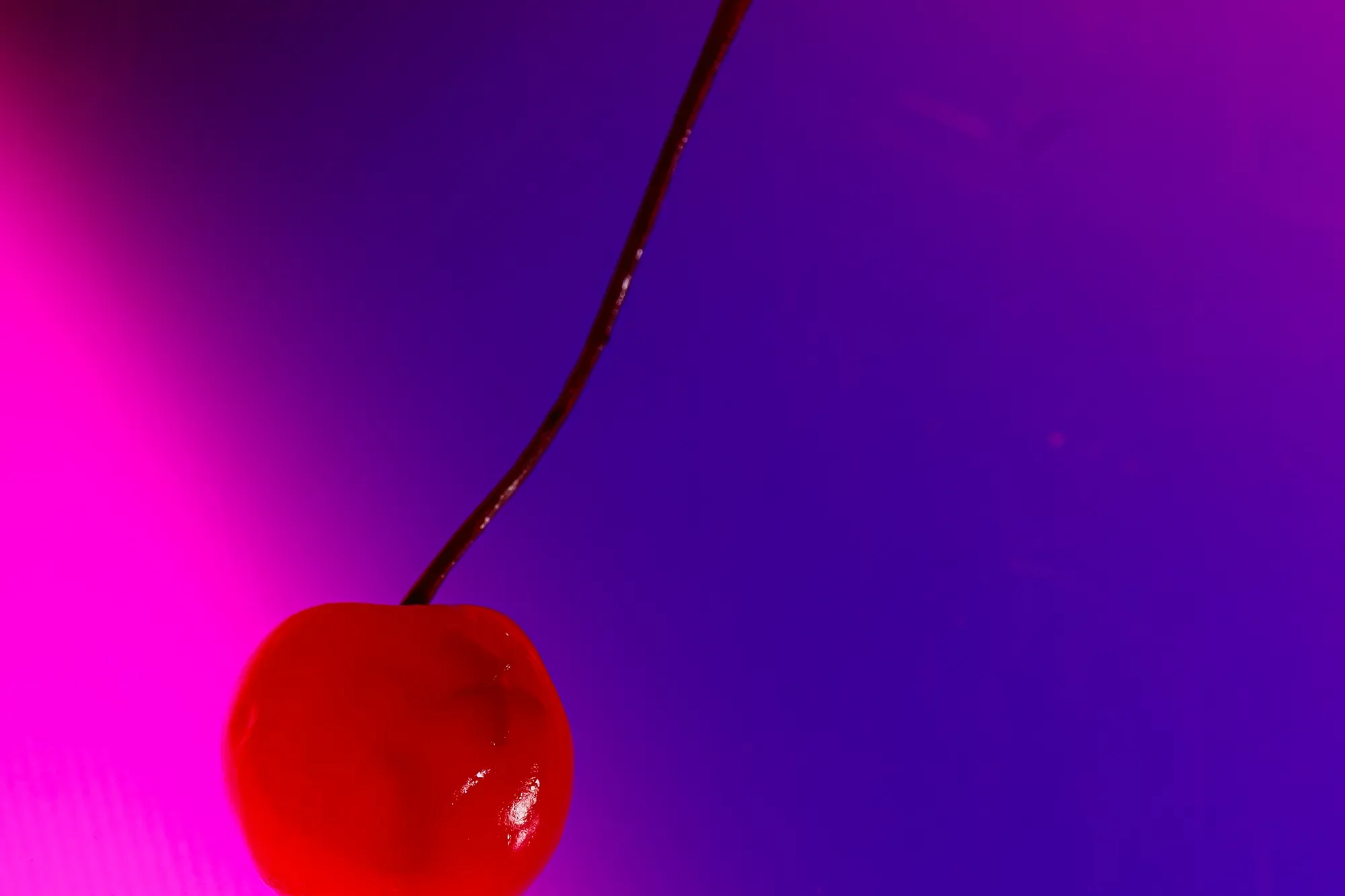 Close-up of a red cherry hanging from a dark stem against a vibrant background of pink, purple, and blue gradient.