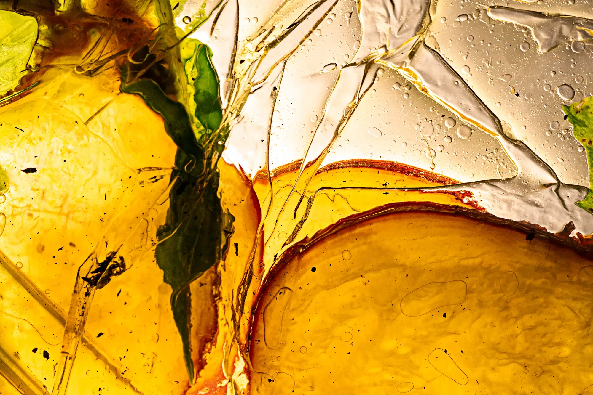 Close-up of overlapping plant slices, prominently visible and encased in ice with bubbles and cracks.