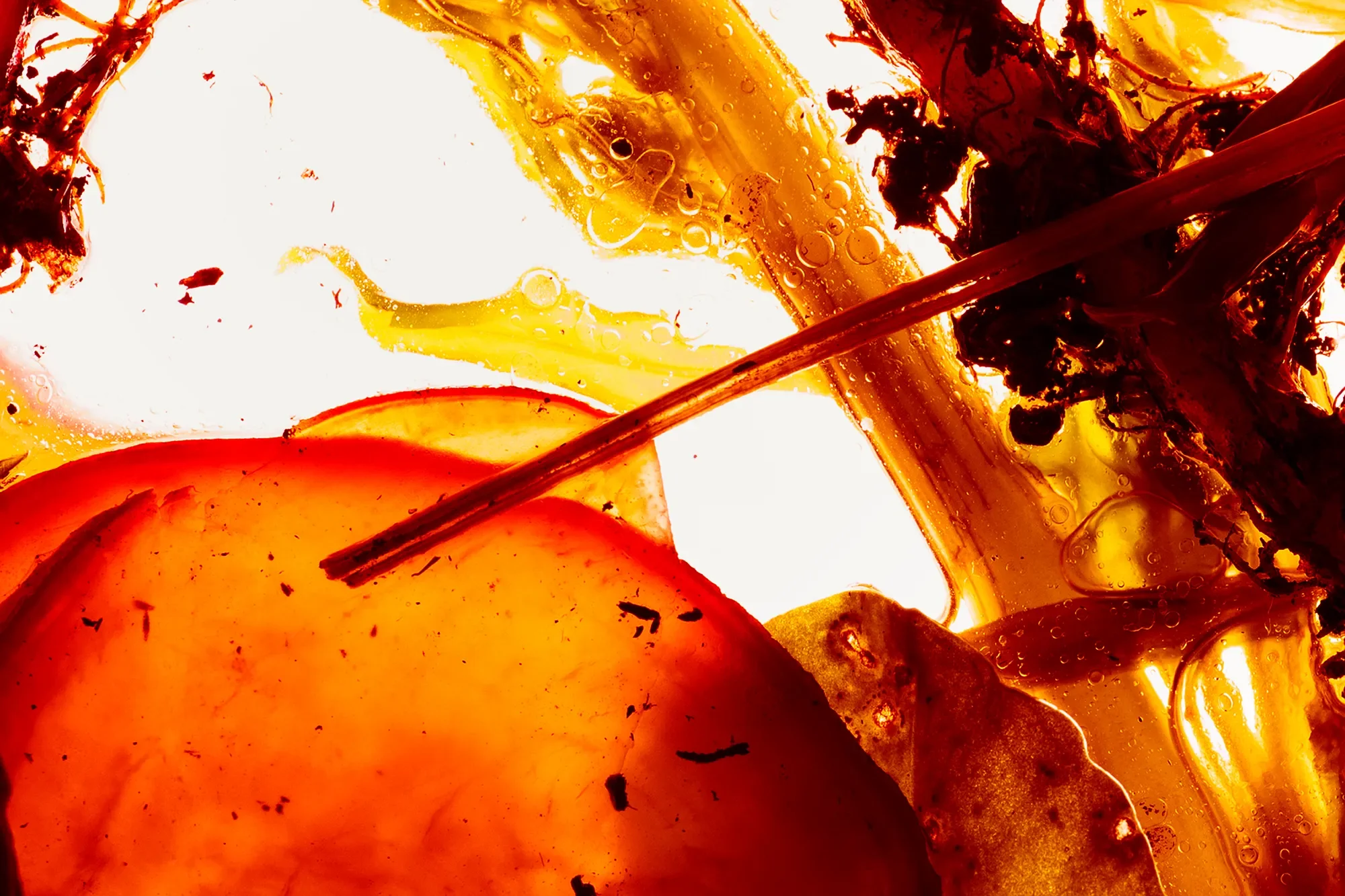 13_Territorial Field 07 : Section 1- Topside copy.webp