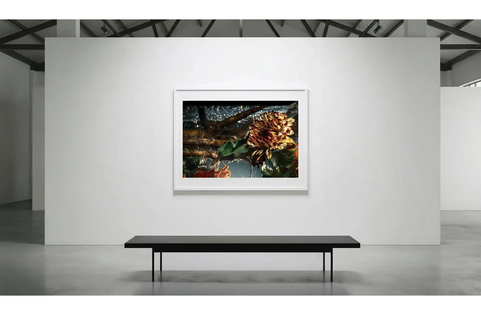 HeatBloom_GalleryWall_01.webp