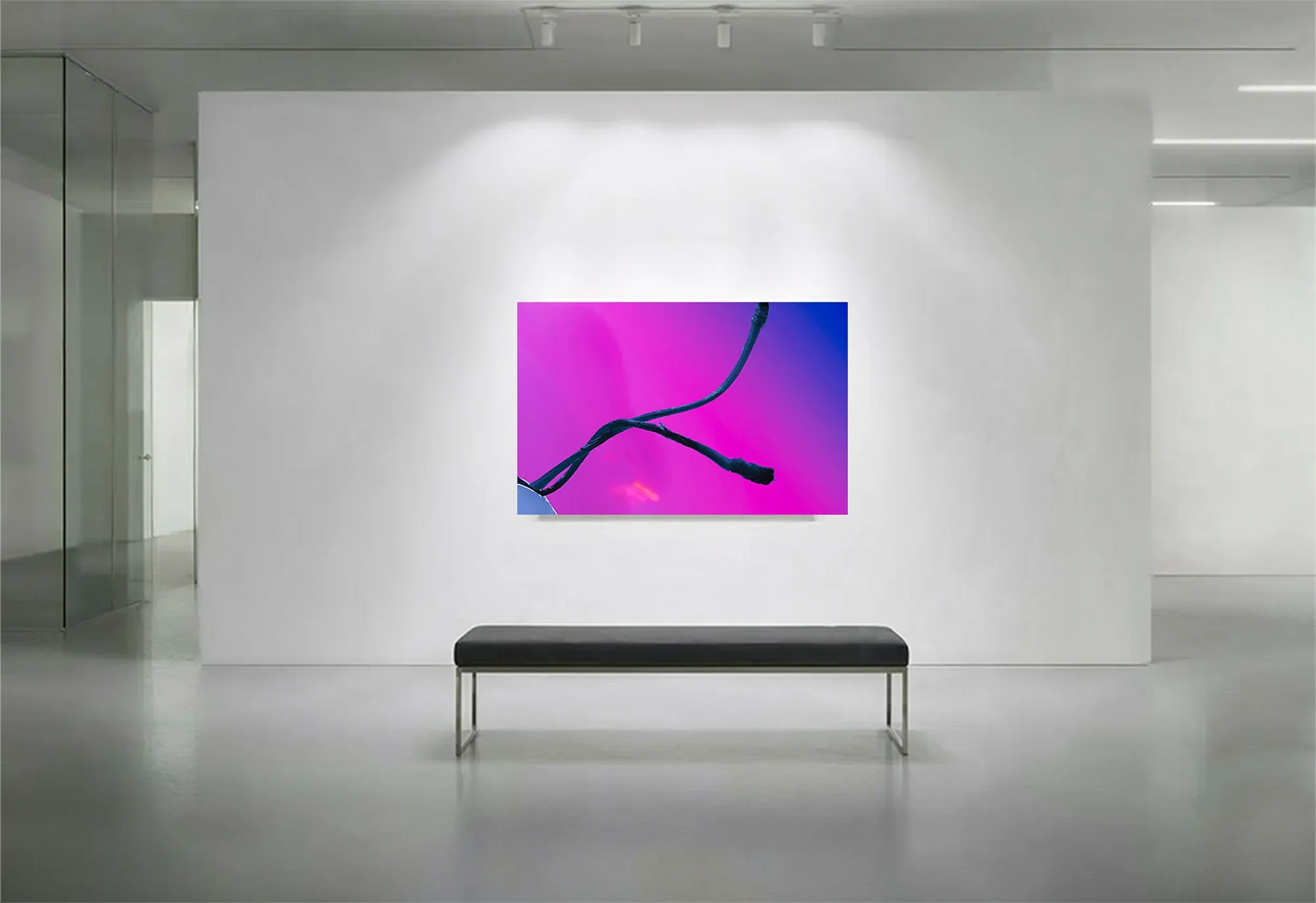 5_LegalisedAdulteration_GalleryWall copy.webp