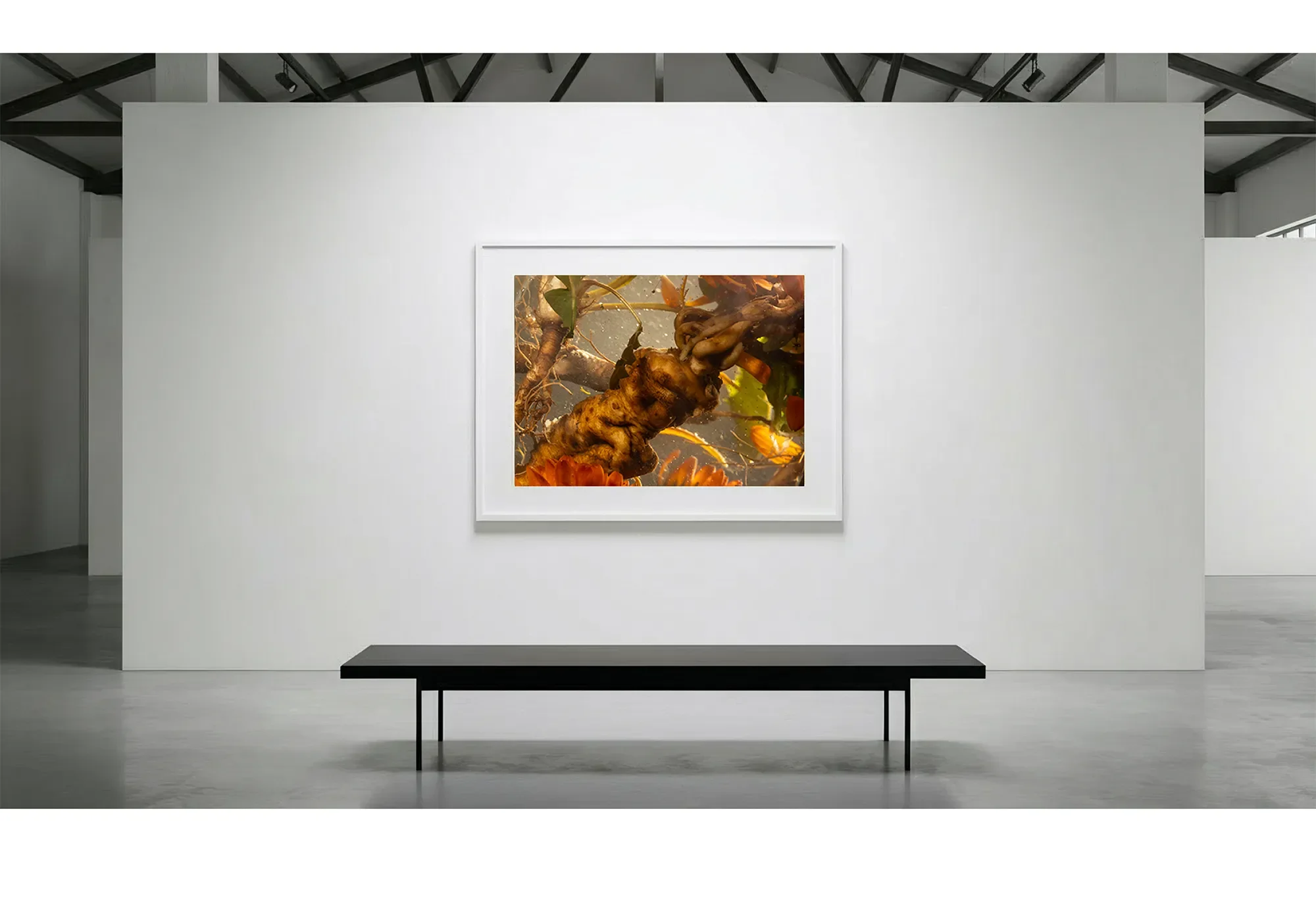 7_Immersion_Anisothermal_GalleryWall copy.webp