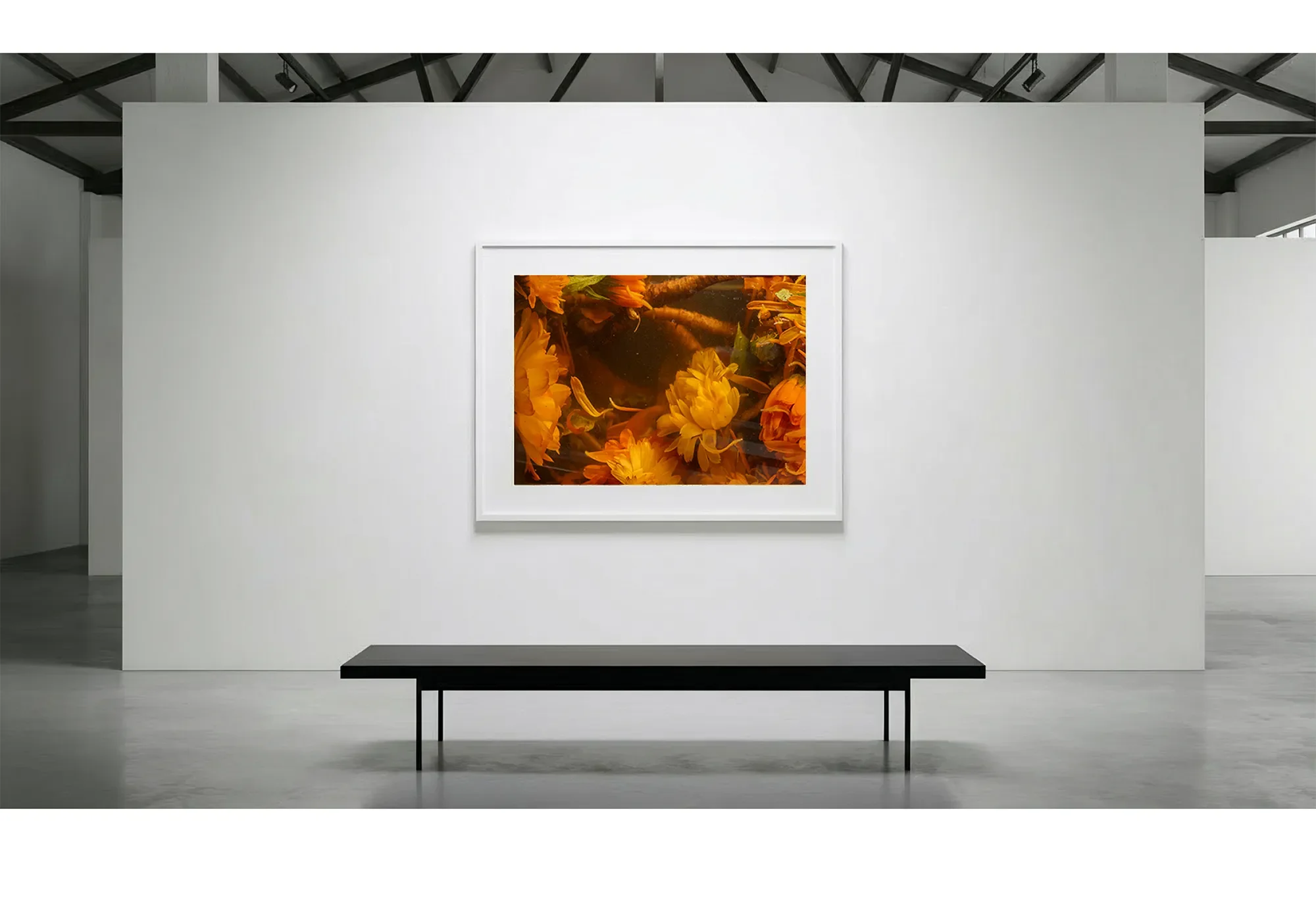 10_Immersion_Saturation_GalleryWall copy.webp