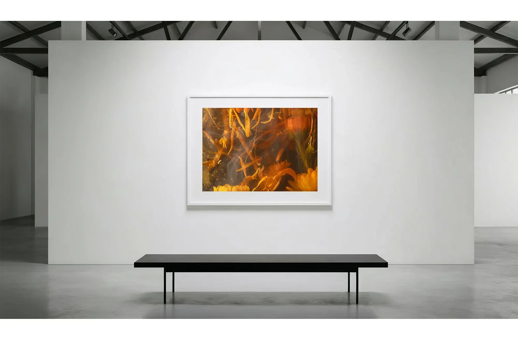 12_Immersion_ThermotacticDrift_GalleryWall copy.webp