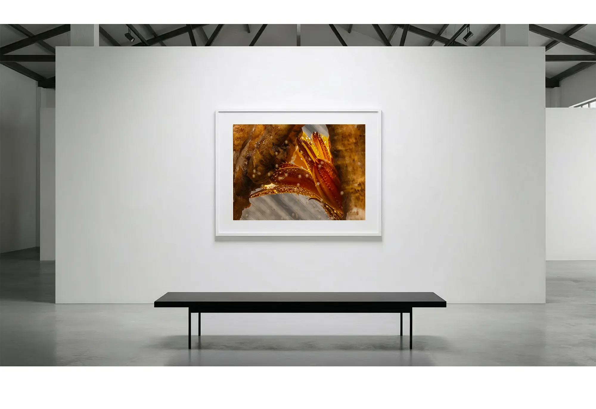 9_Immersion_HeatExchange_GalleryWall copy.webp