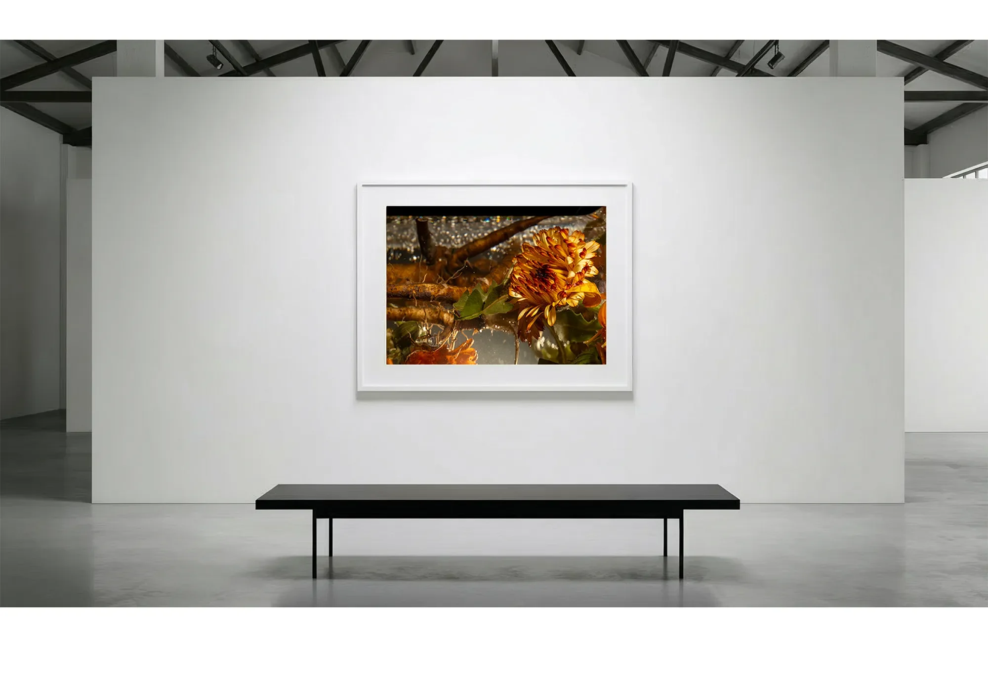 6_Immersion_HeatBloom_GalleryWall copy.webp