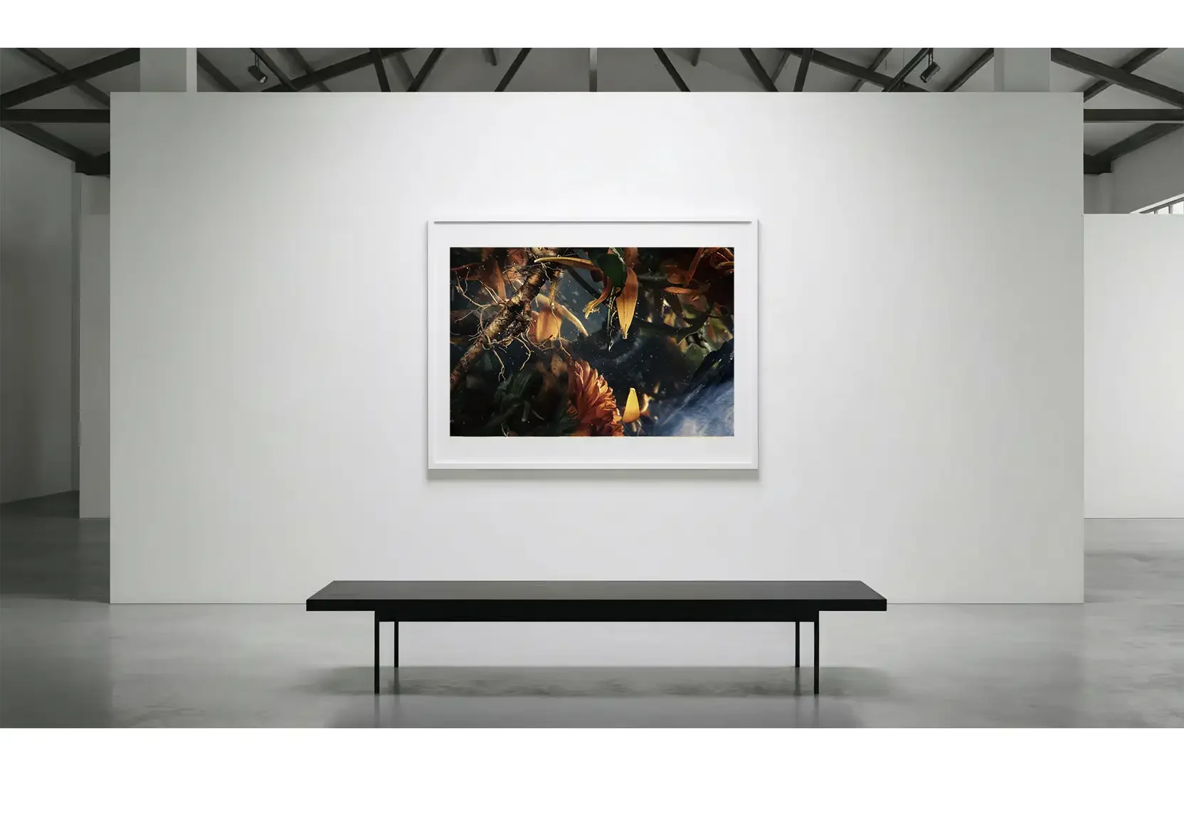 PhaseShift_GalleryWall_01.webp