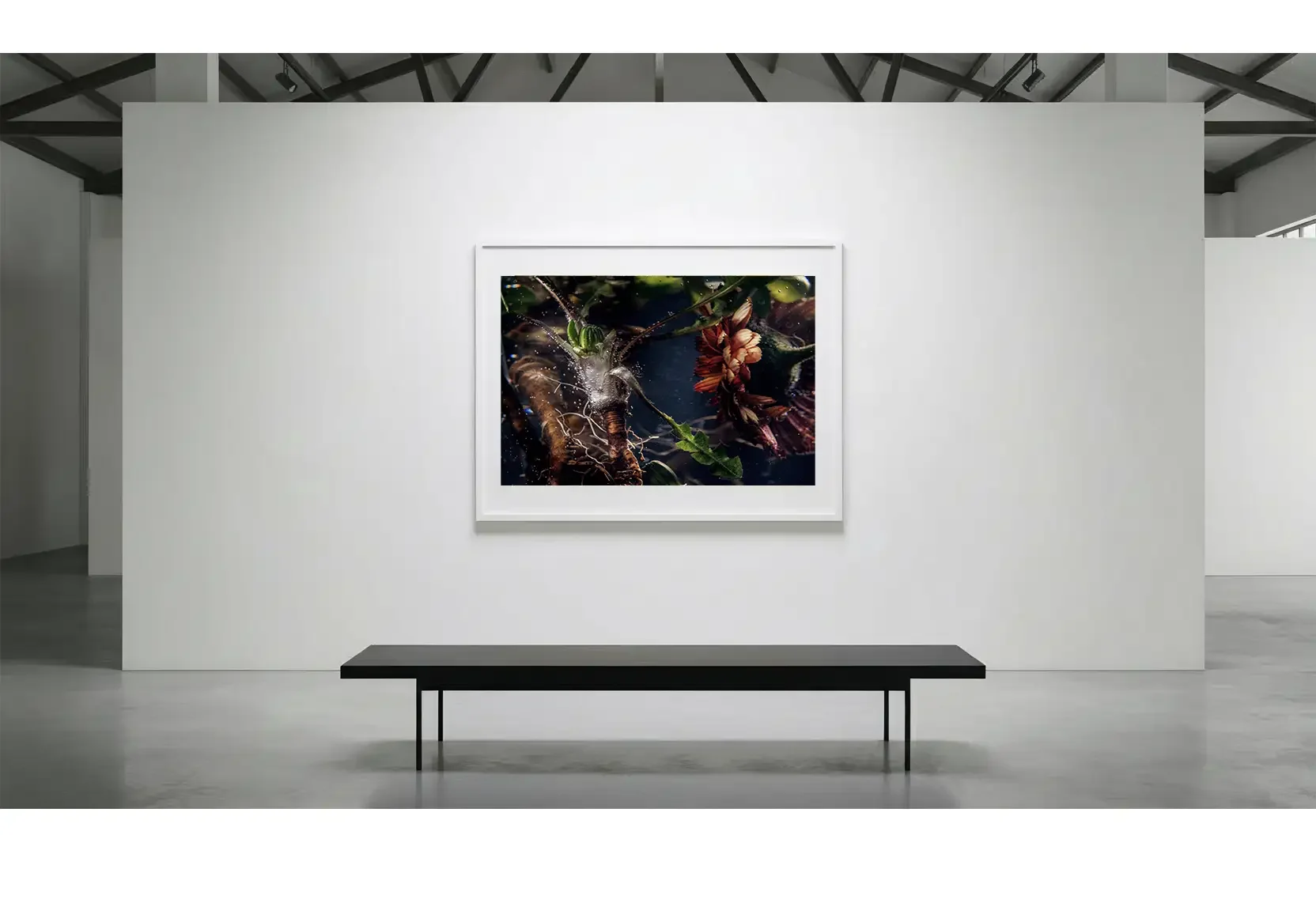 Isothermal_GalleryWall_01.webp
