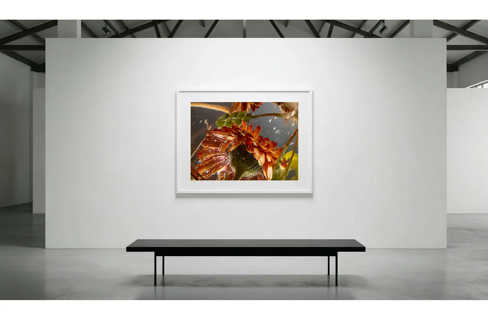 13_Immersion_HighEnergy_GalleryWall copy.webp