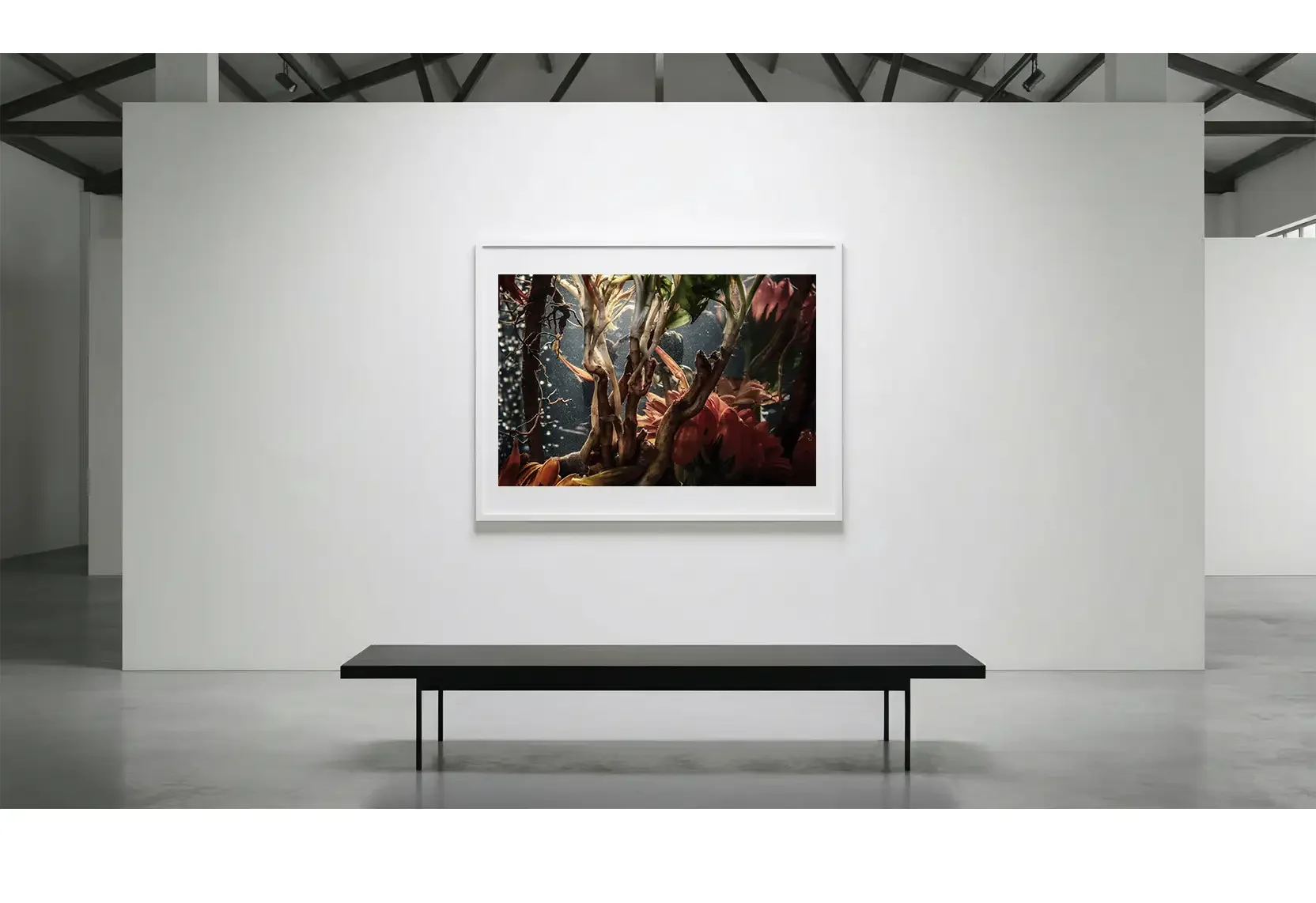 TransitionalPhase_GalleryWall_01.webp