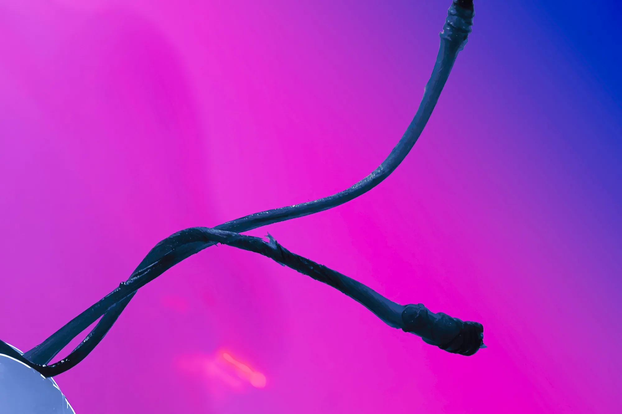 Close-up of a black electrical wire against a colorful purple and pink background.