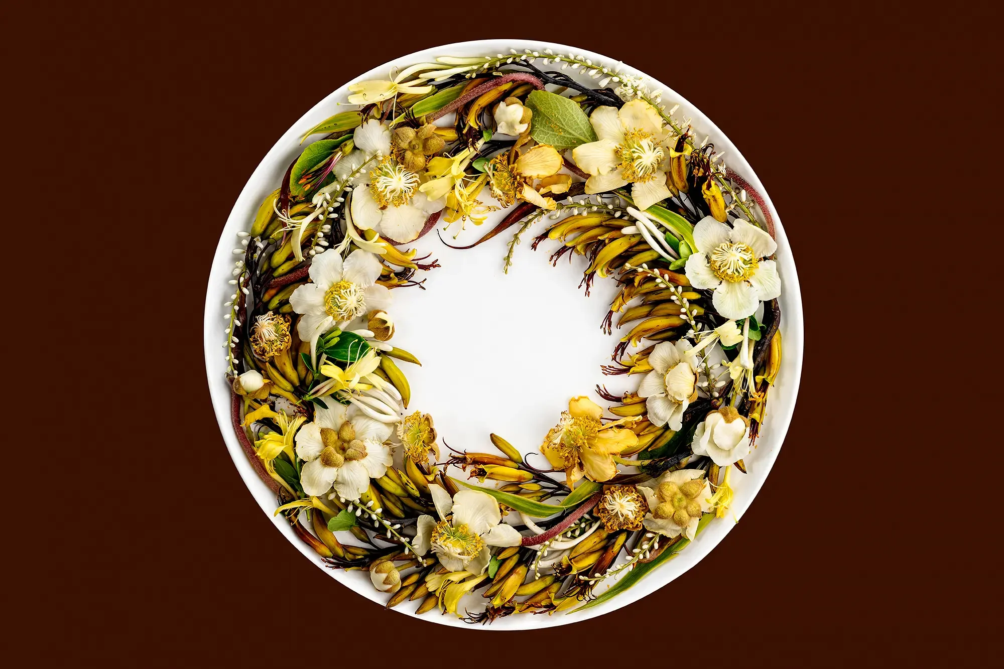 Harakeke (phormium spp.) along the horse’s lane