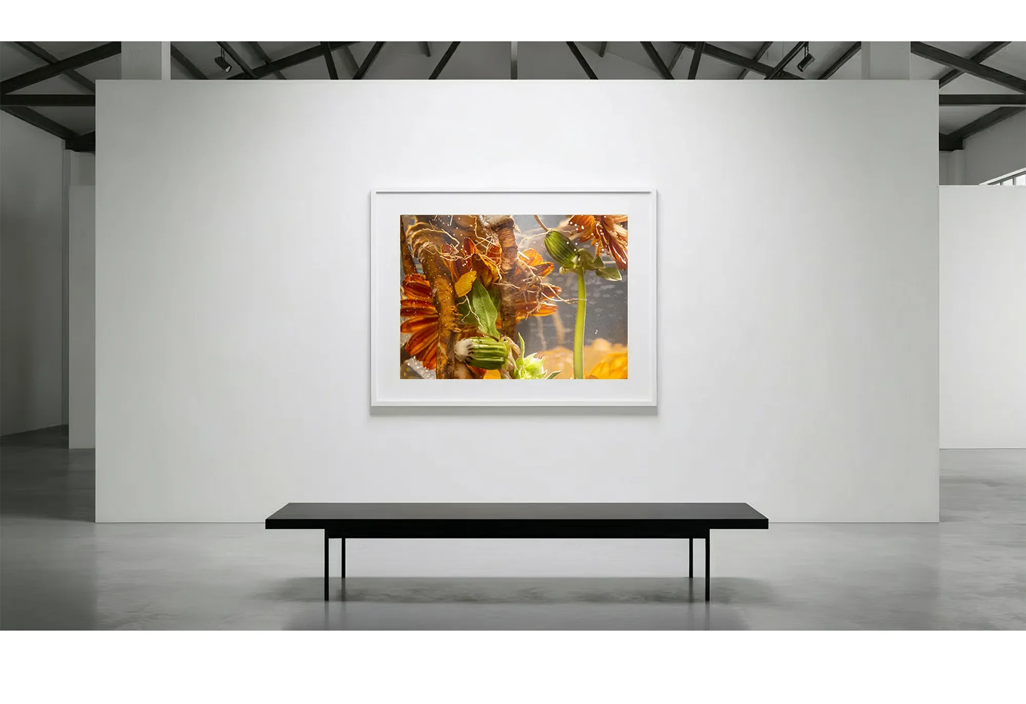 2_Immersion_Quiescence_GalleryWall copy.webp