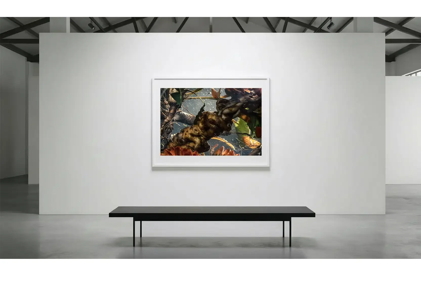 Anisothermal_GalleryWall_01.webp