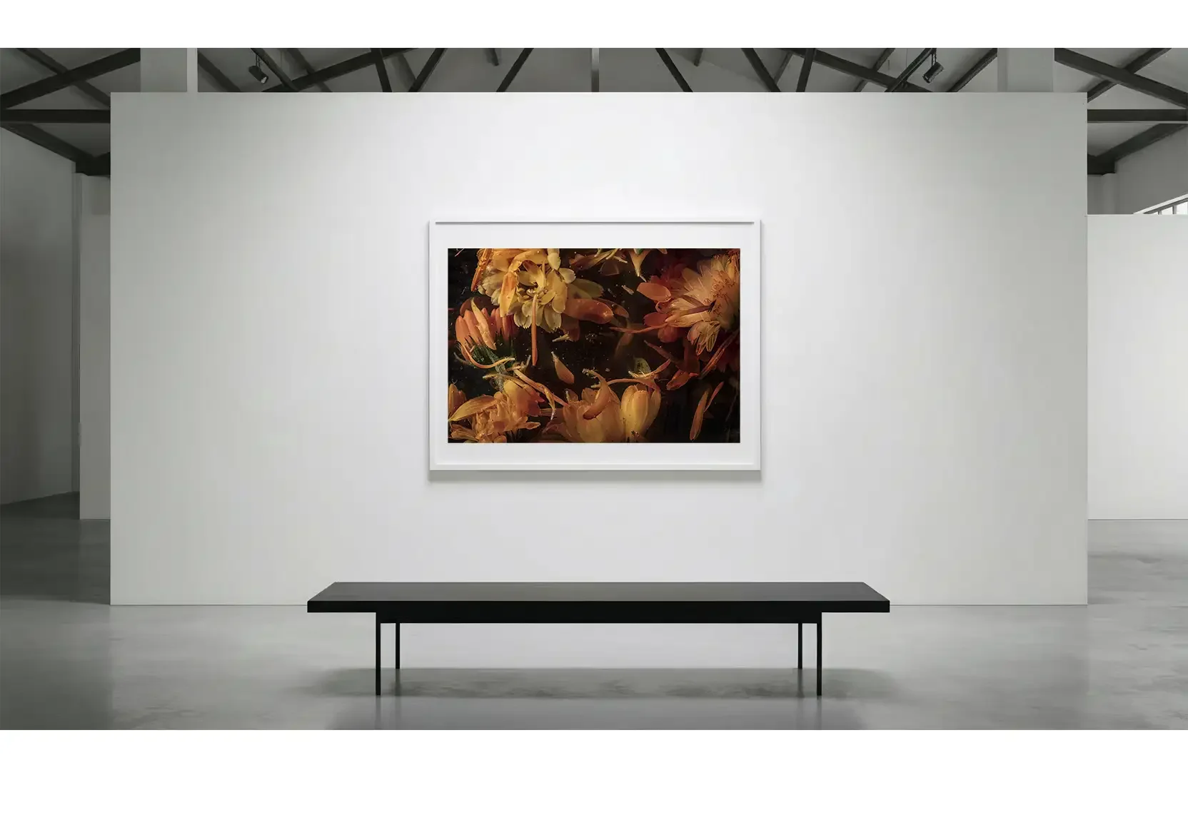 Equilibrium_GalleryWall_01.webp