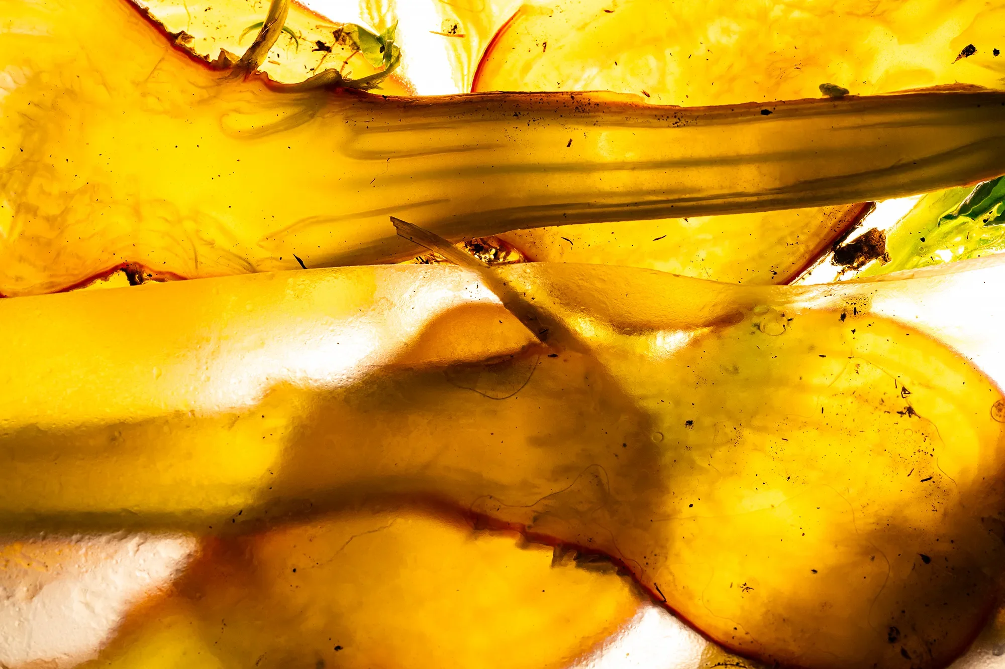 Close-up of sliced yellow fruit or vegetable, showing its juicy, textured interior and flesh.