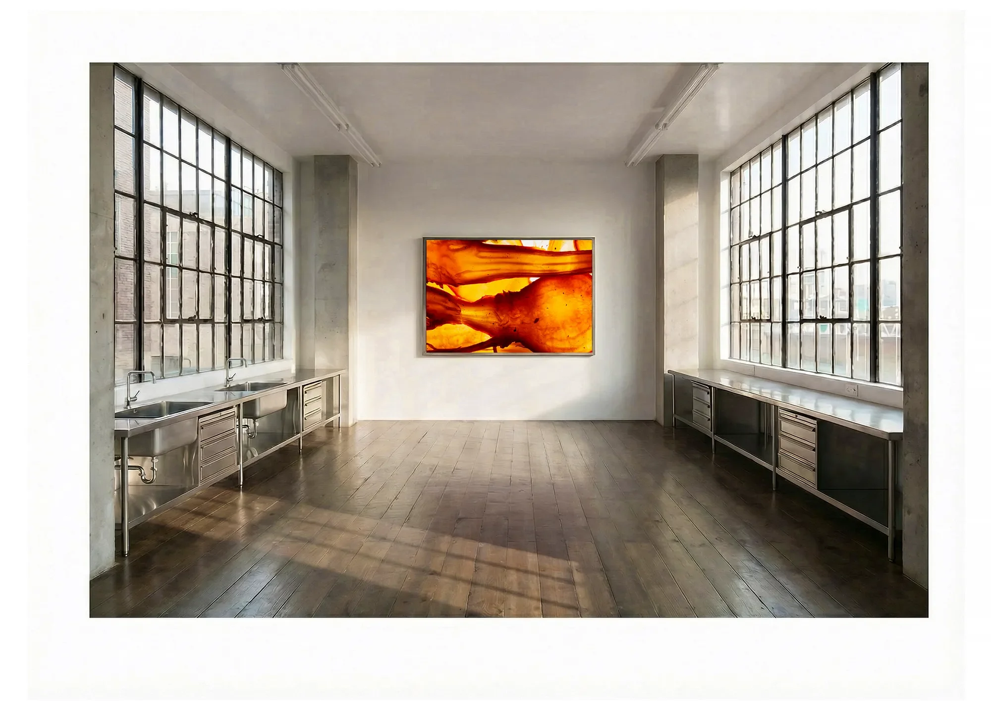 1_LucentAnatomy_EyeFillet_GalleryWall copy 2.webp