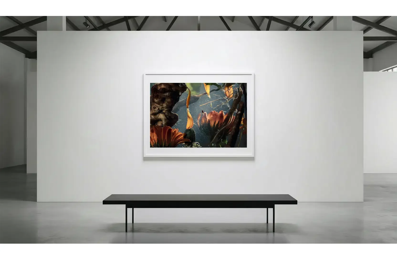 Suspension_GalleryWall_01.webp