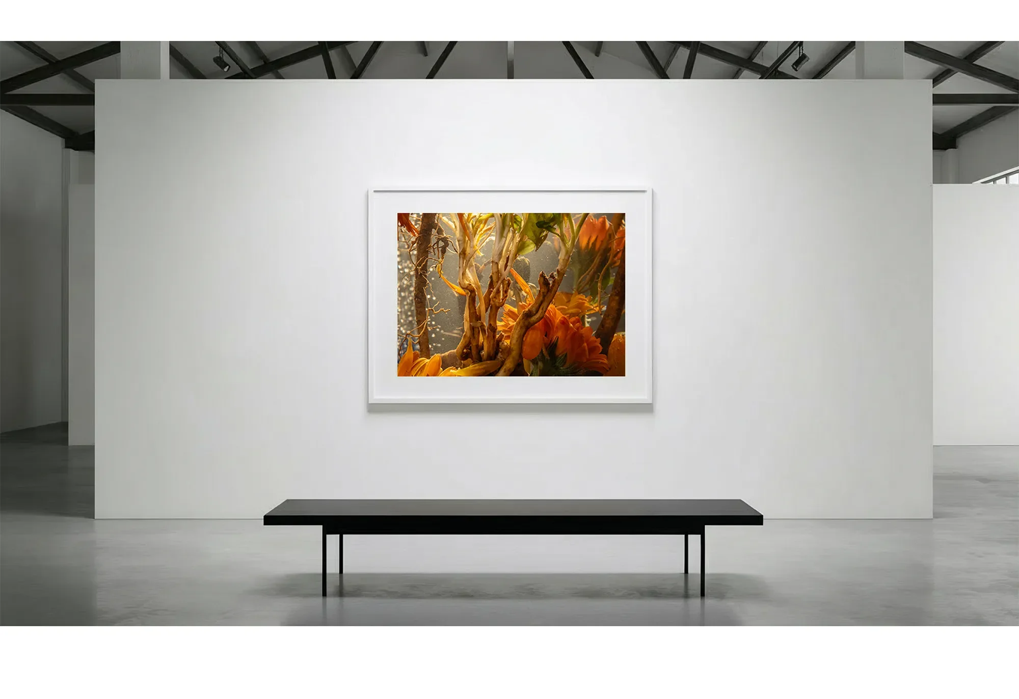 5_Immersion_TransitionalPhase_GalleryWall copy.webp