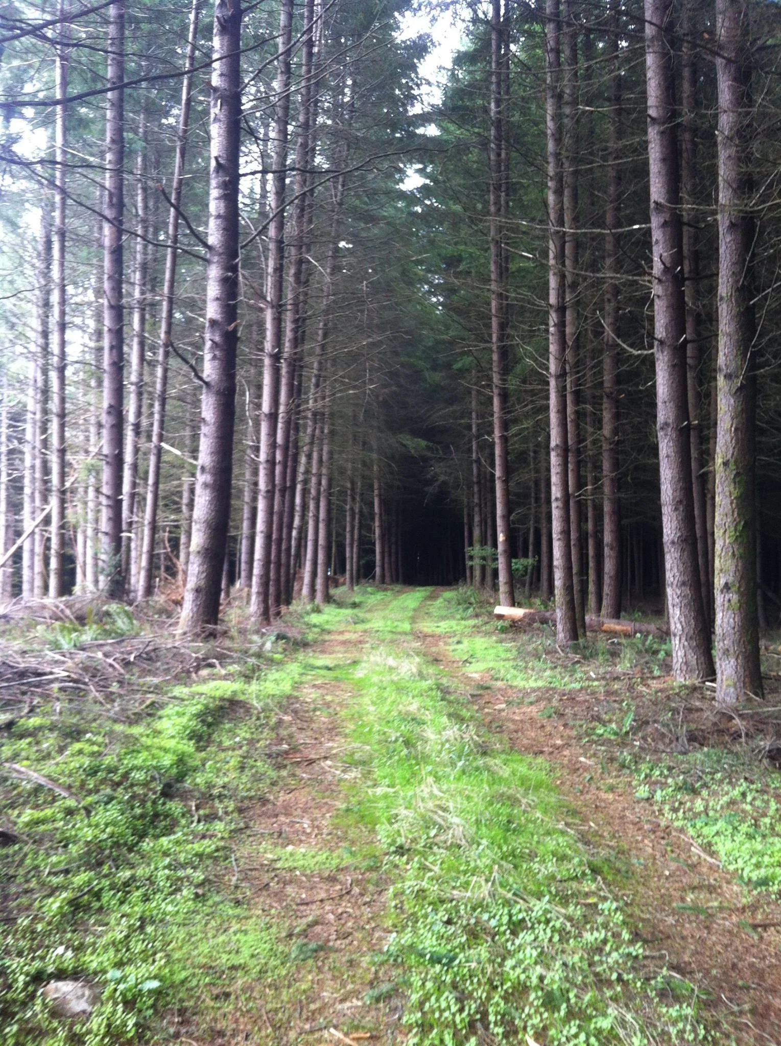 Transformative 2-Day Therapeutic Intensive