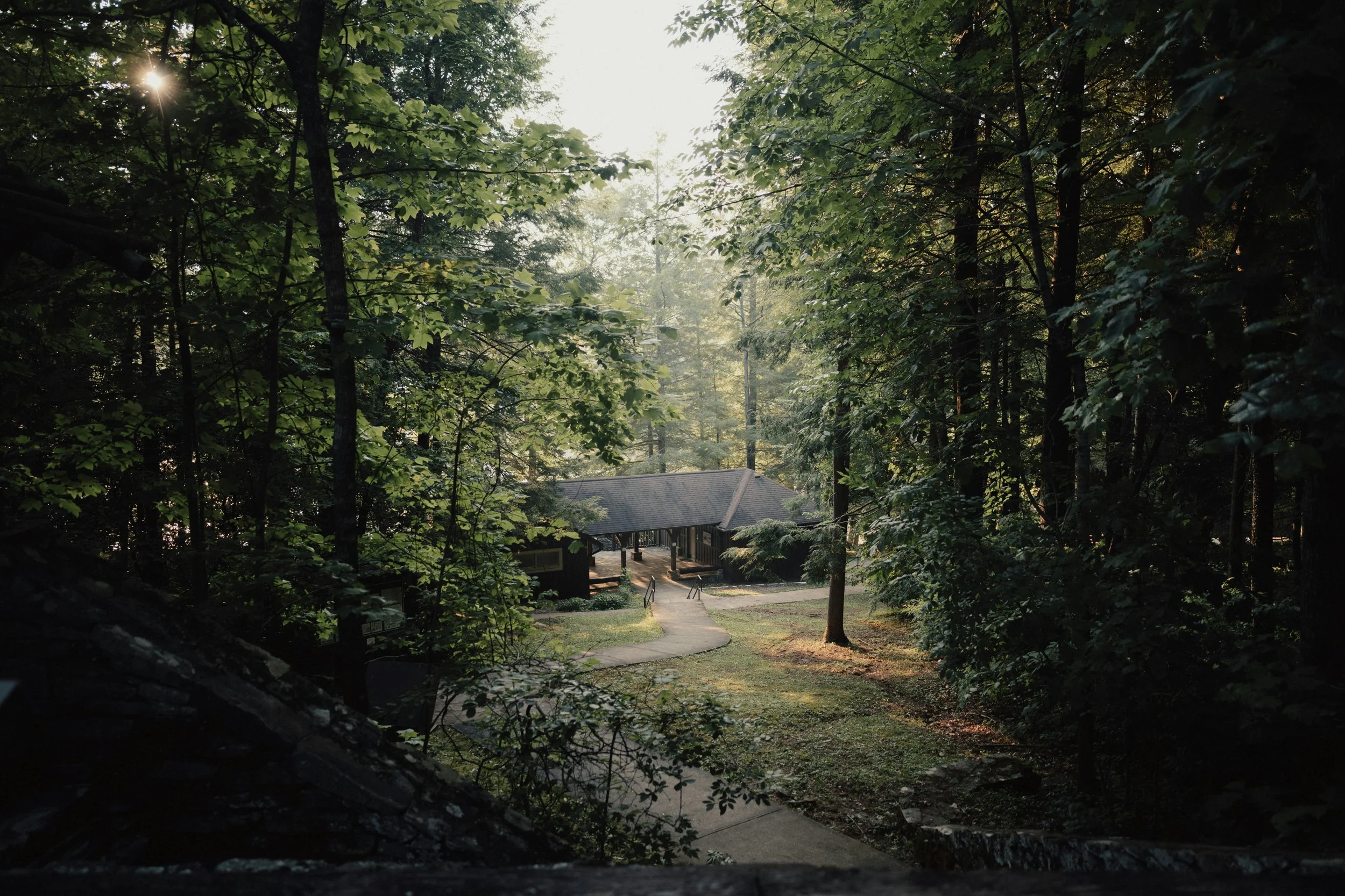 Professional Mental Health Consultation- 60 minutes