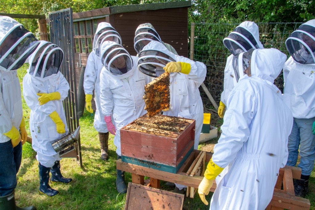 Beehive workshop pic.jpg