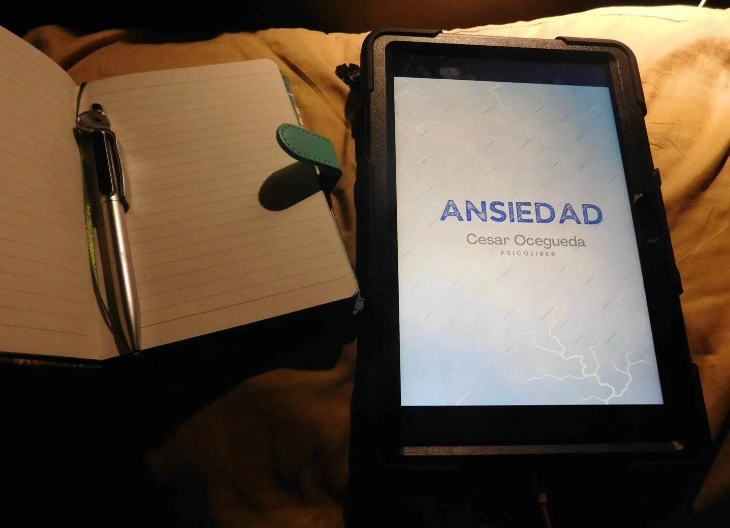 WhatsApp Image 2025-12-30 at 11.12.51 PM.jpeg