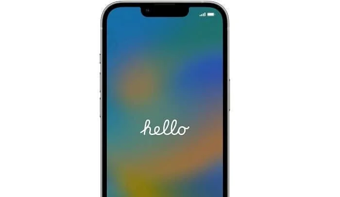 Phone Setup & Data Transfer