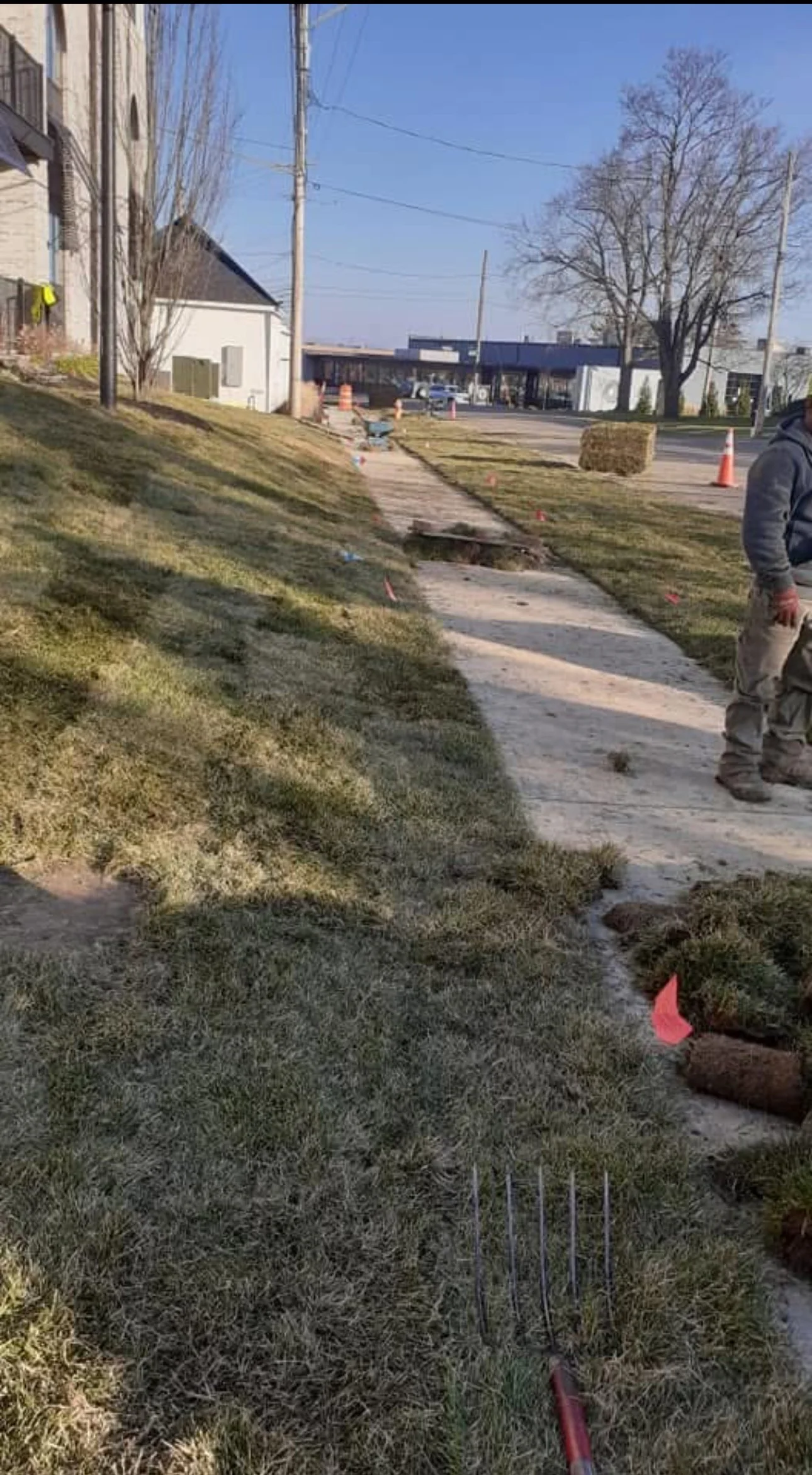 Sod & Seeding Services