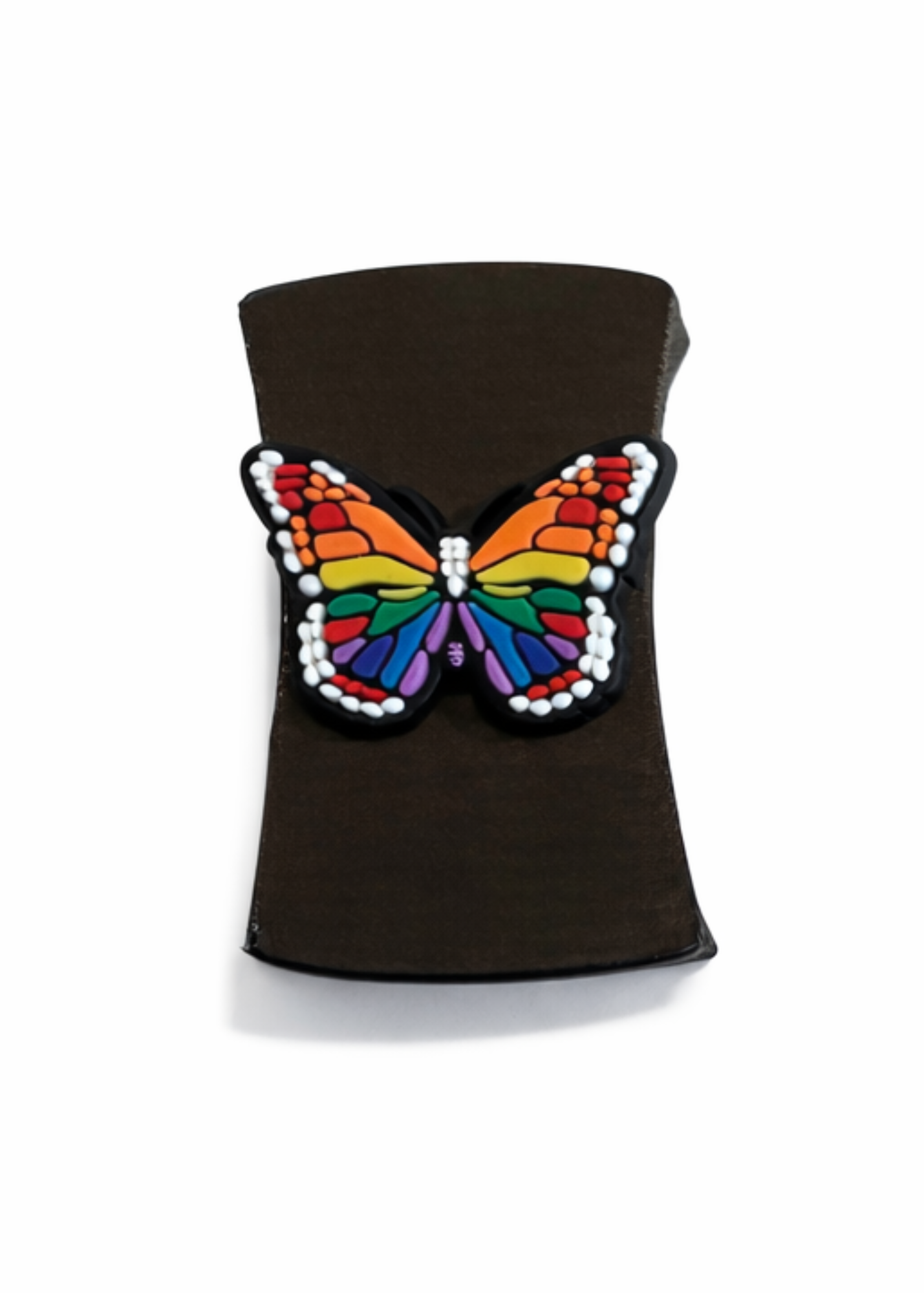 Rainbow Butterfly Charm