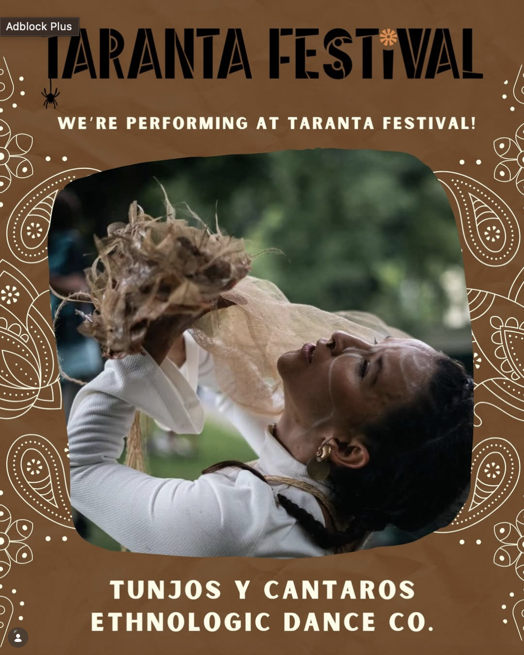 Screenshot 2026-01-26 at 12.31.16.png