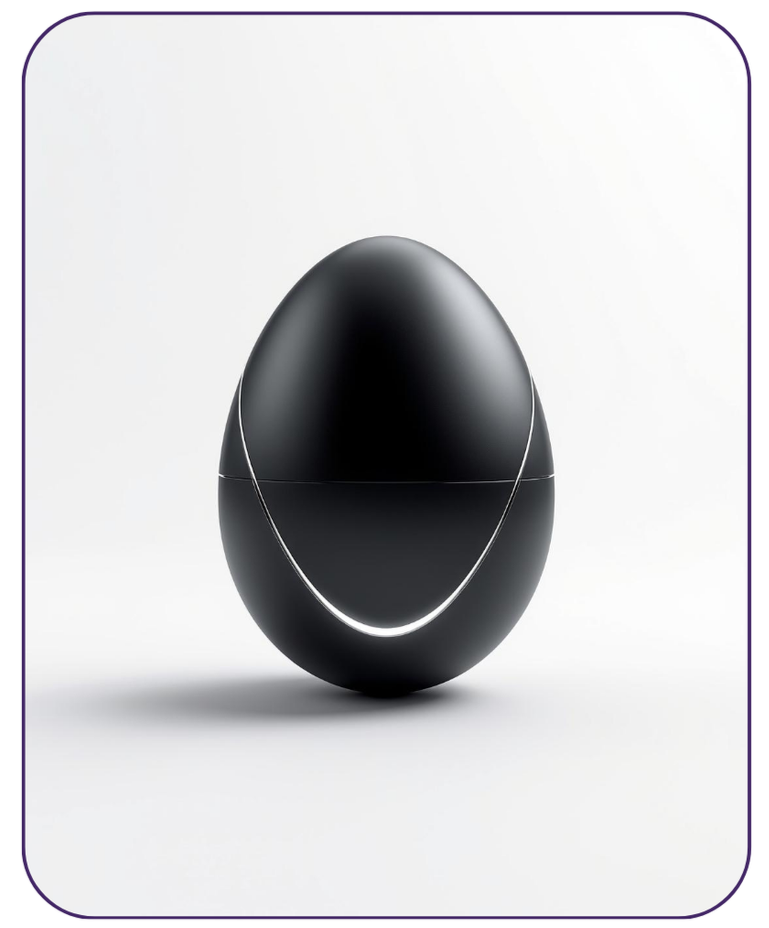 A sleek, black, egg-shaped object with a silver chain draped over it, set against a white background.