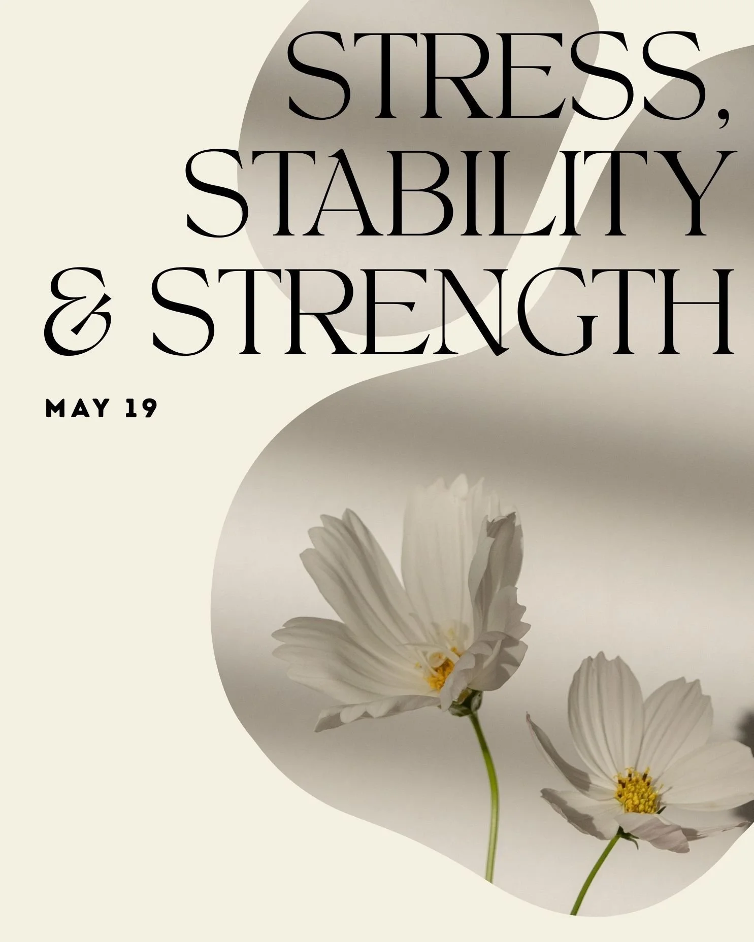 Stress, Stability &amp; Strength 