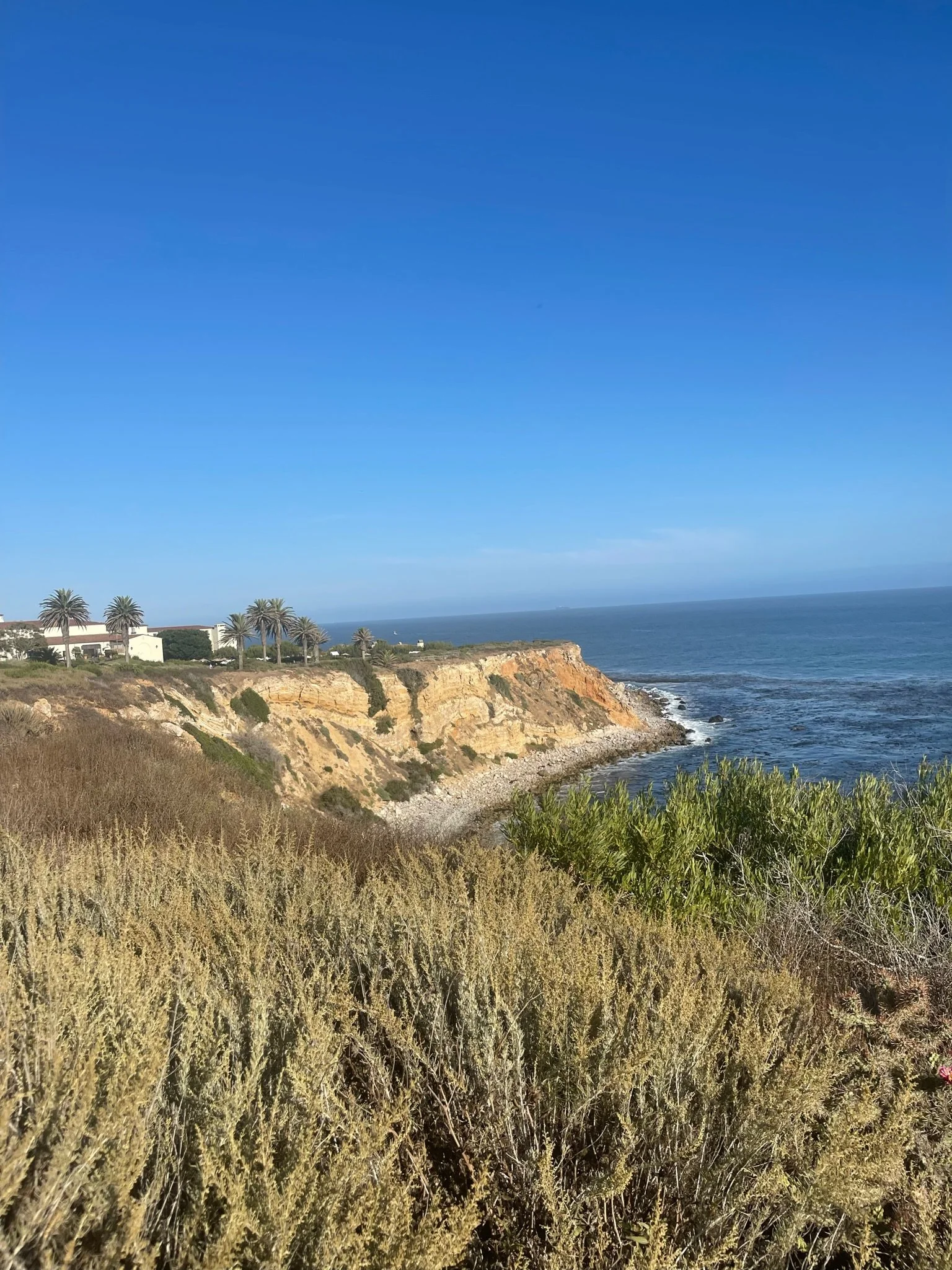 Scenic coastal view with blue sky, ocean waves hitting the rocky shoreline, and grassy plants in the foreground.