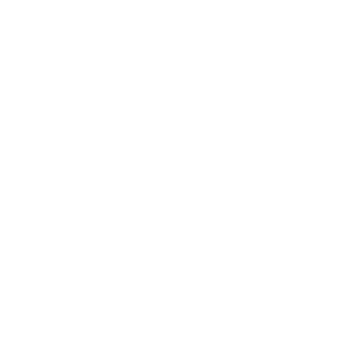 Board Advisor and Consultant Icon