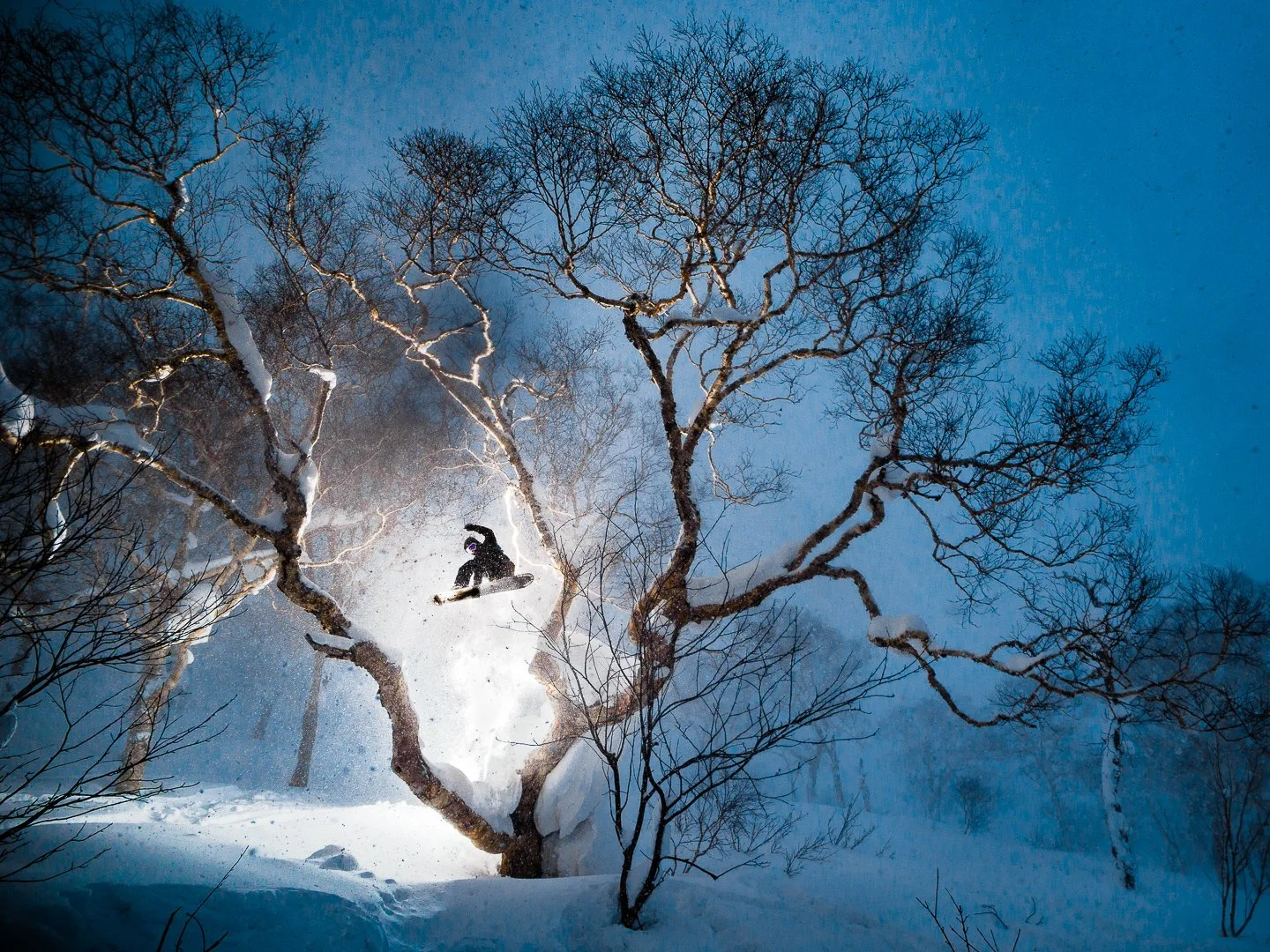 Jordan Morse - Japan - 2019